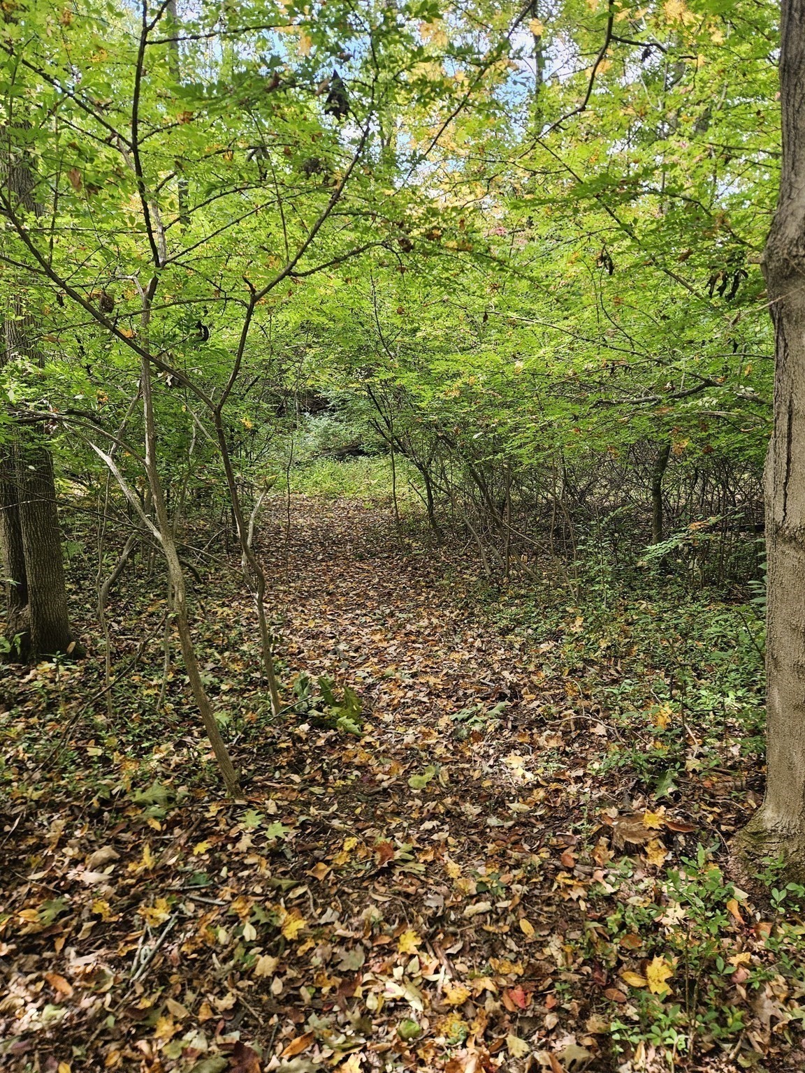 main property photo 22