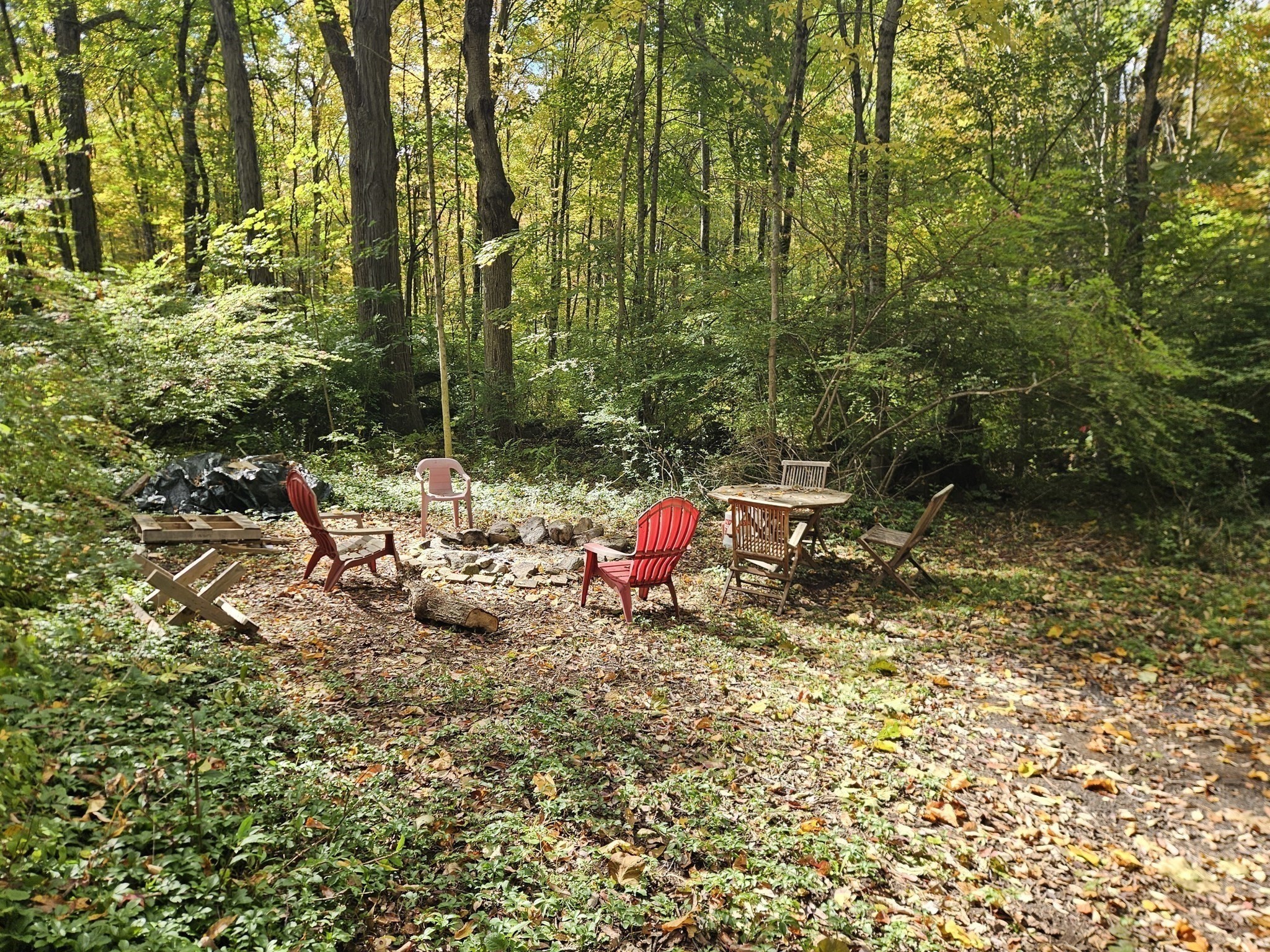 main property photo 26