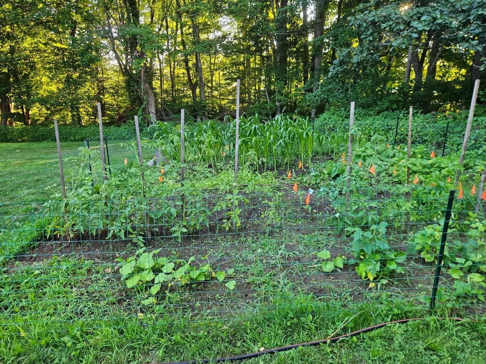 main property photo 28