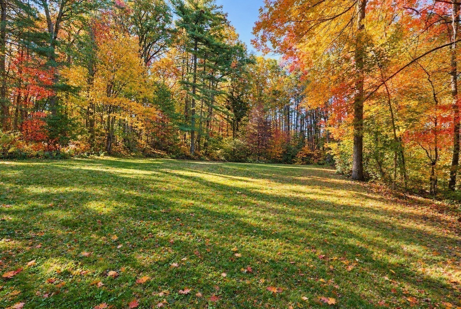main property photo 5