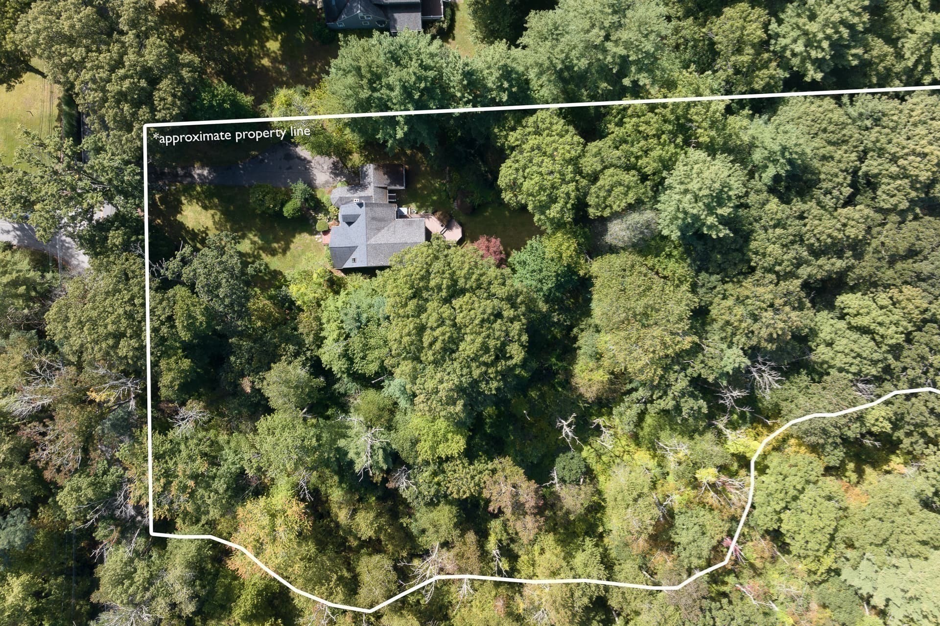 main property photo 40