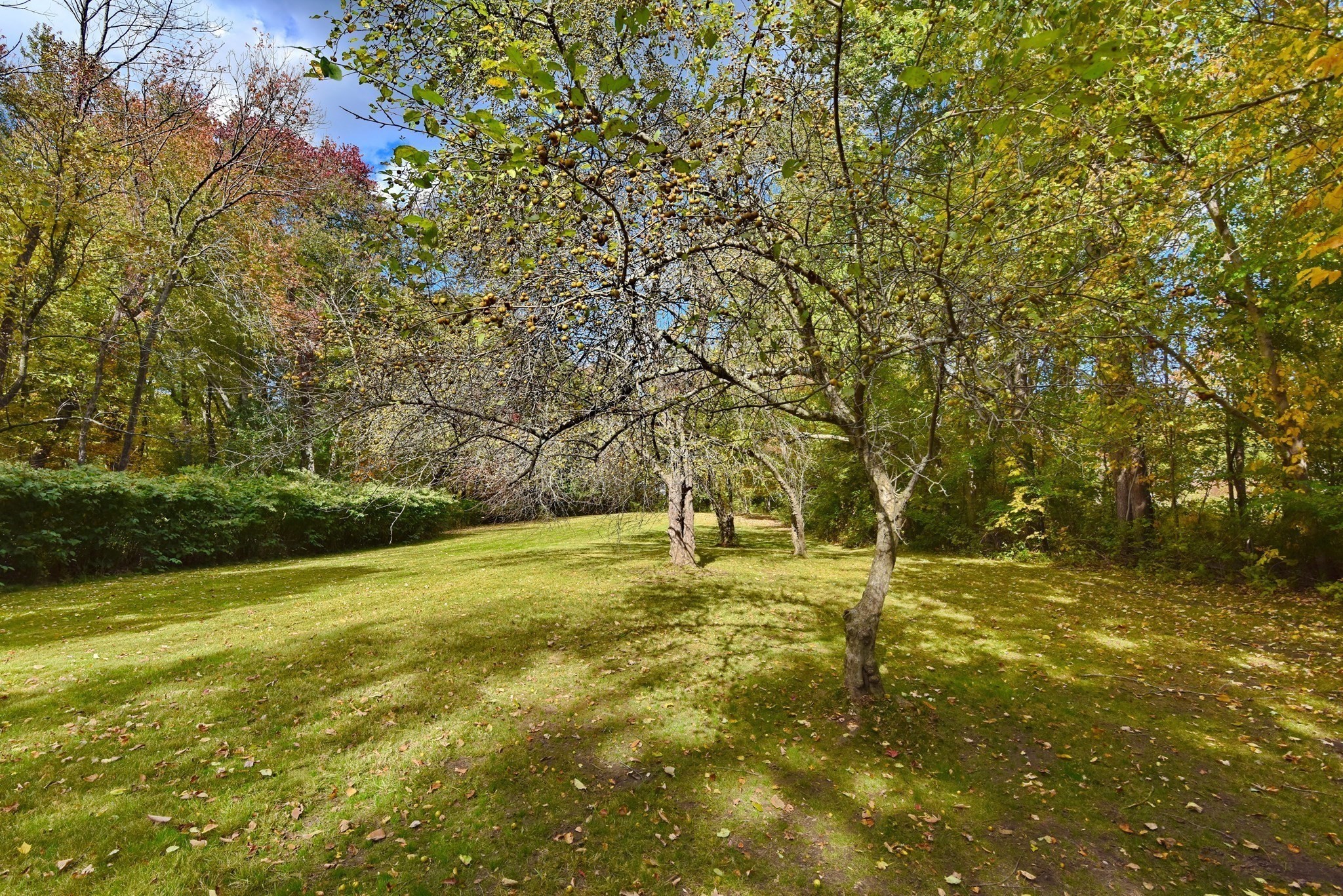 main property photo 33