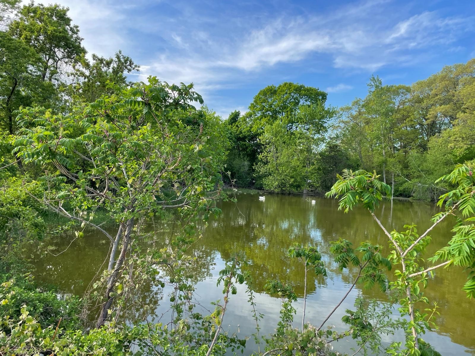 main property photo 14
