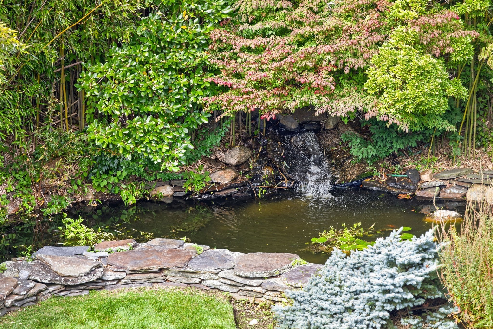 main property photo 38