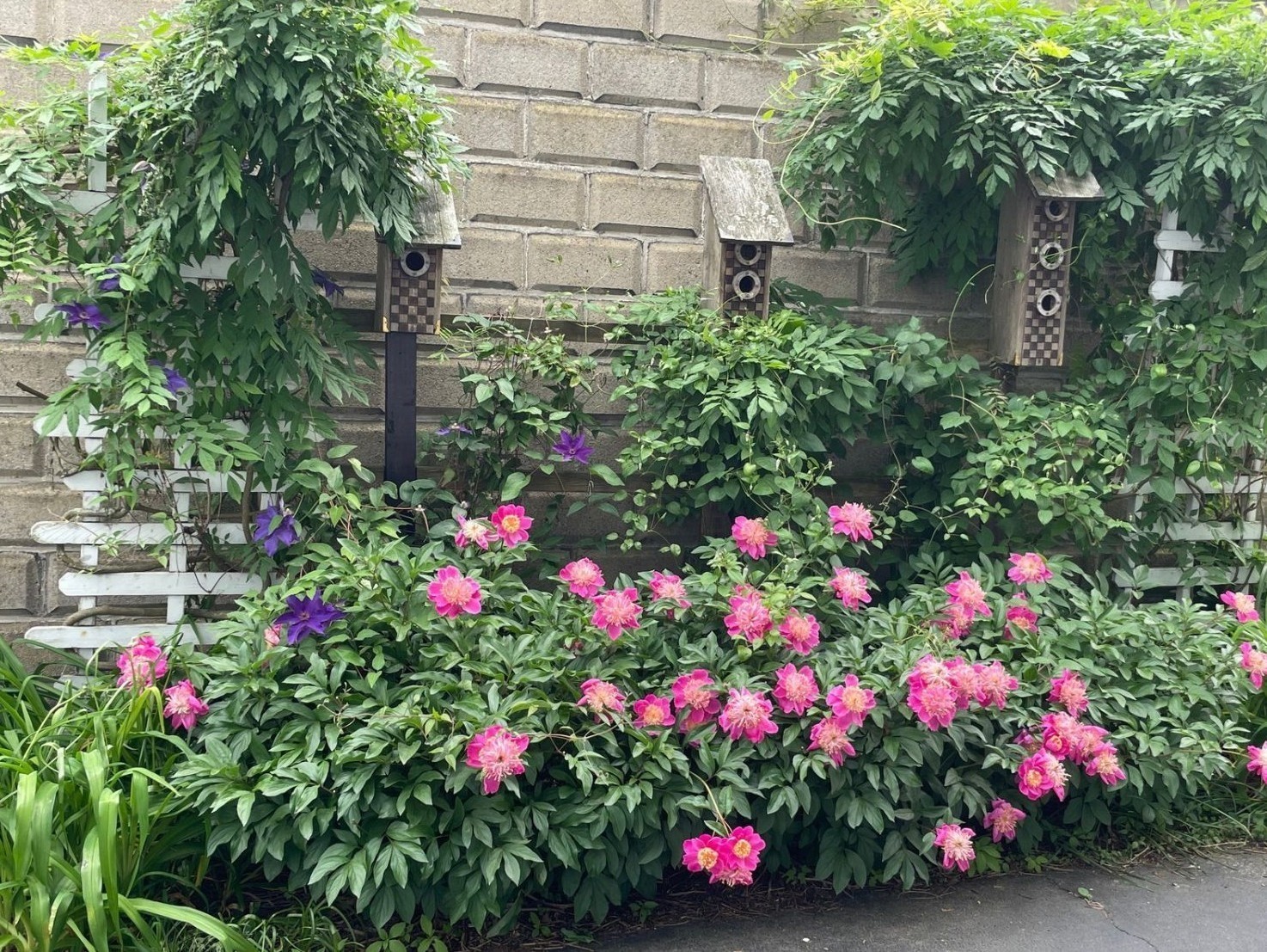 main property photo 23
