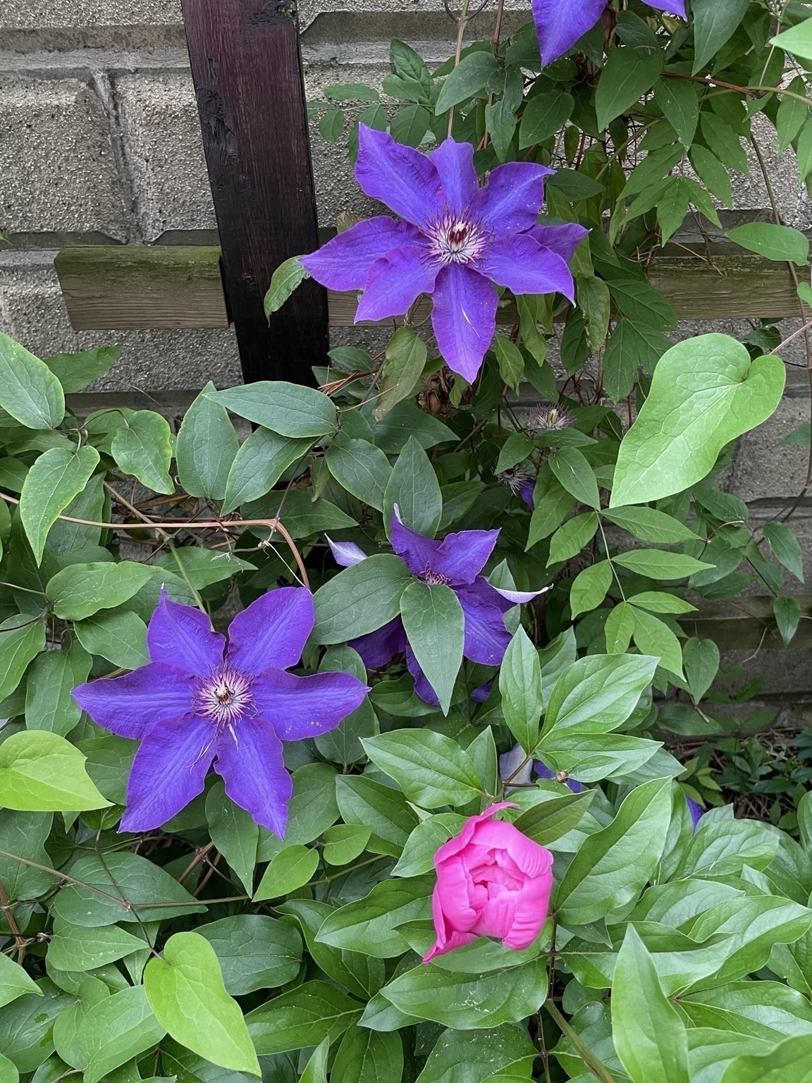 main property photo 25