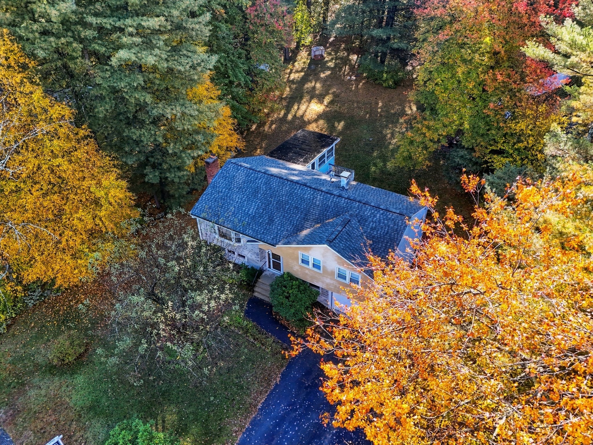 main property photo 38