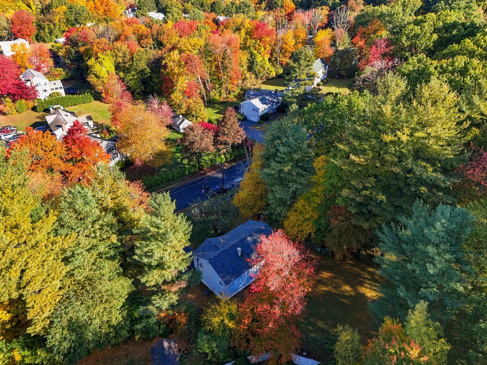 main property photo 39