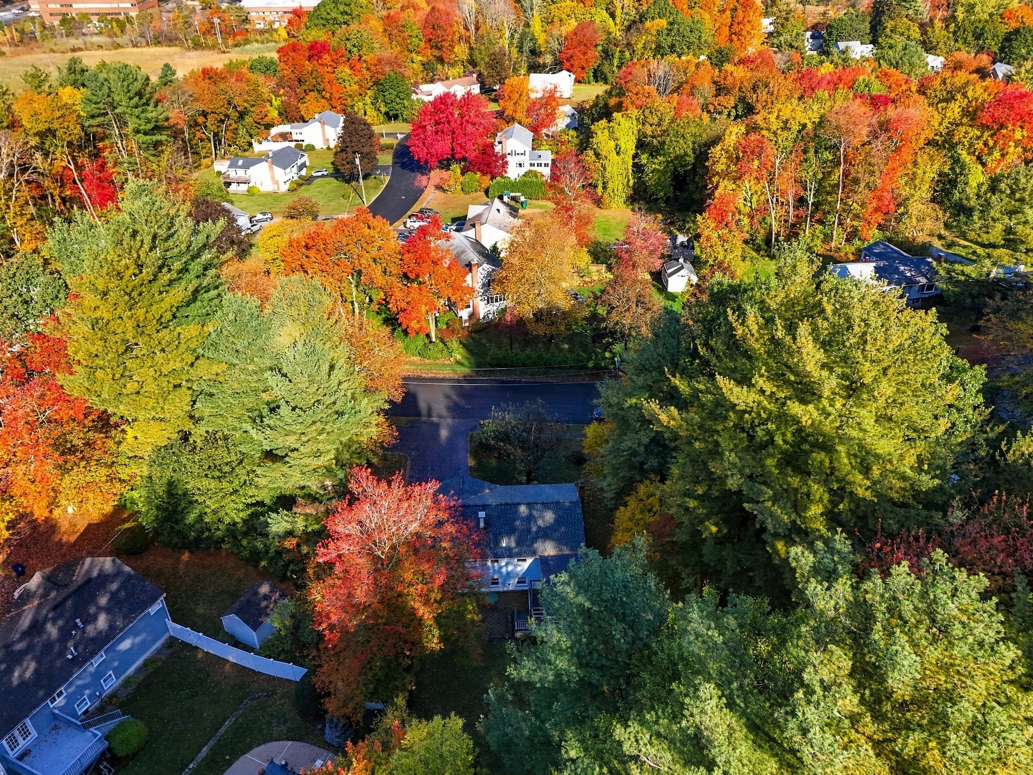 main property photo 40