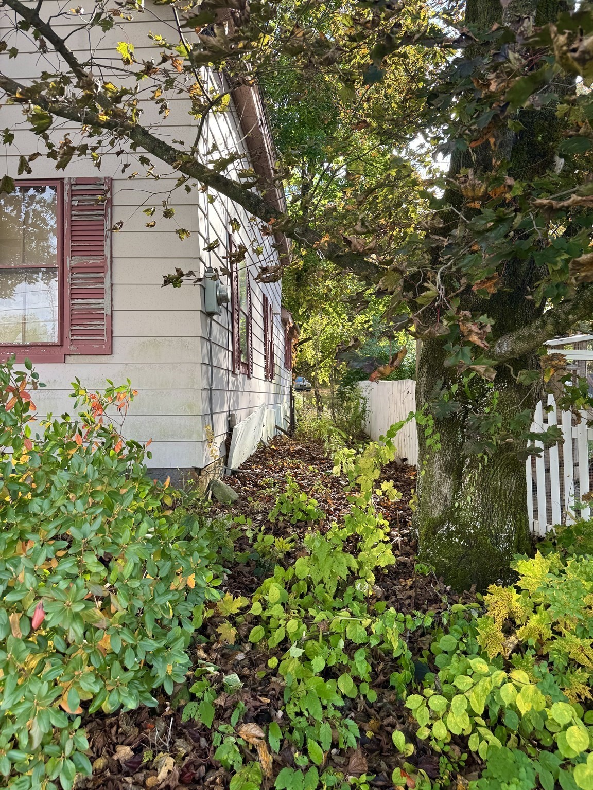 main property photo 33