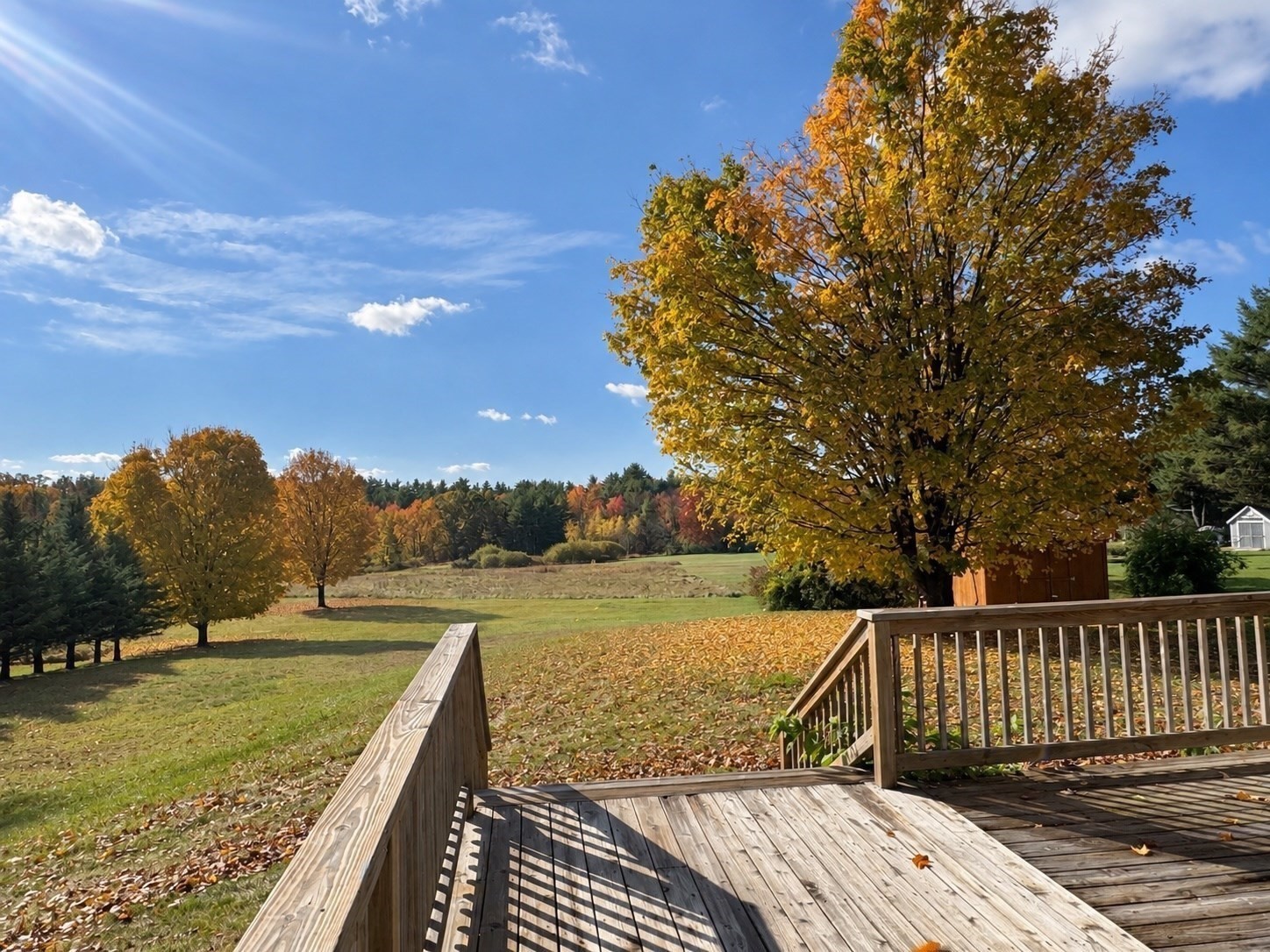 main property photo 23
