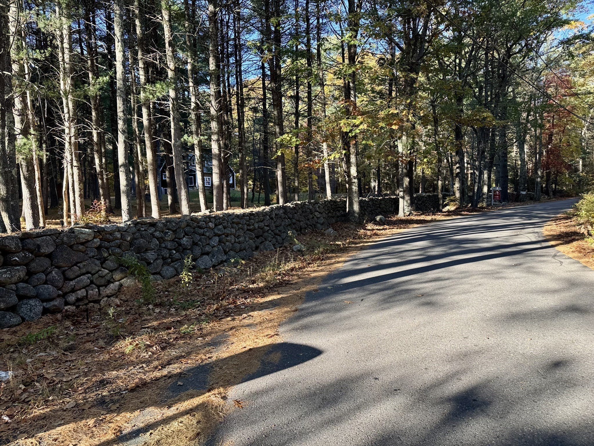 main property photo 38