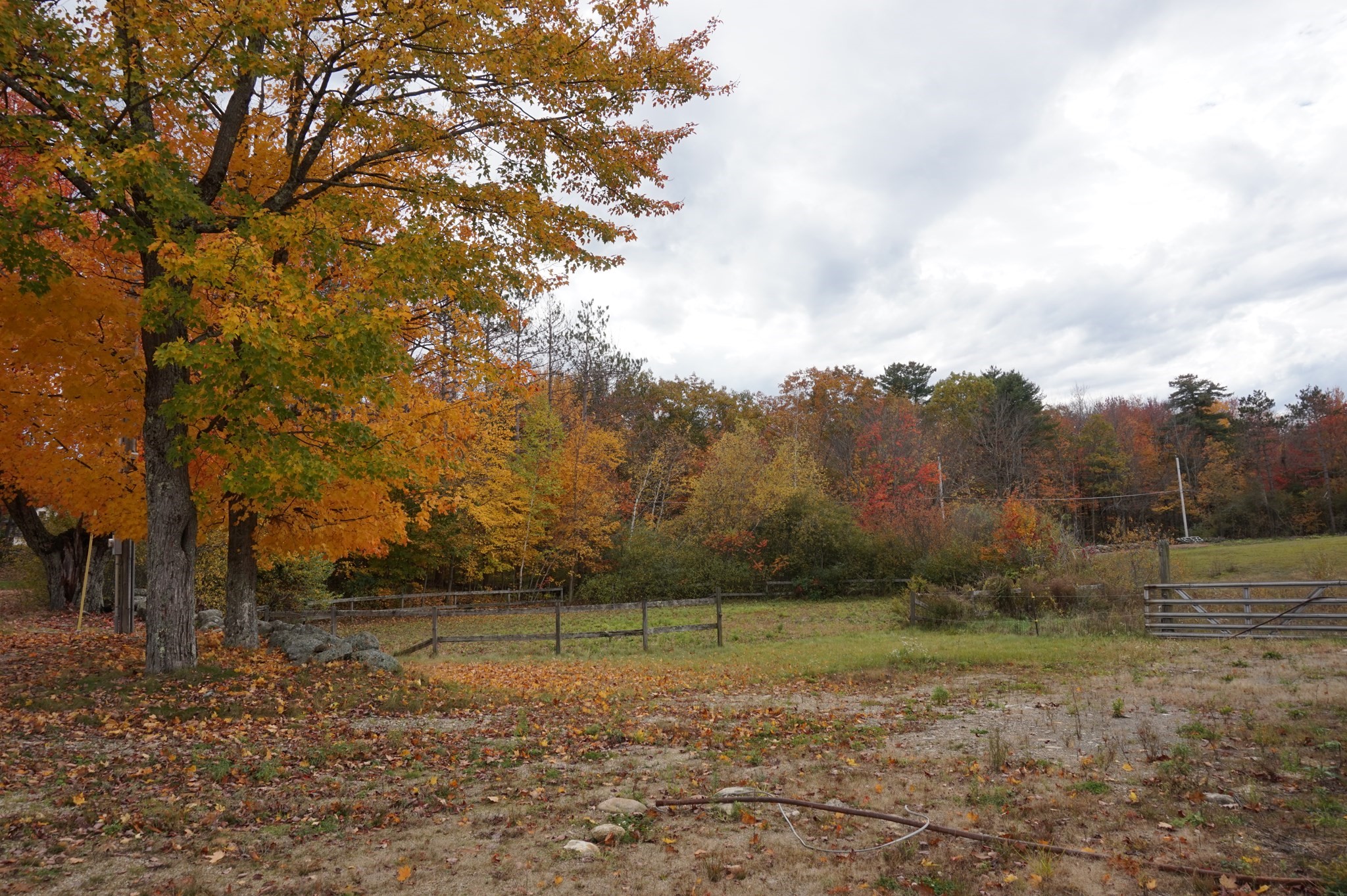 main property photo 29