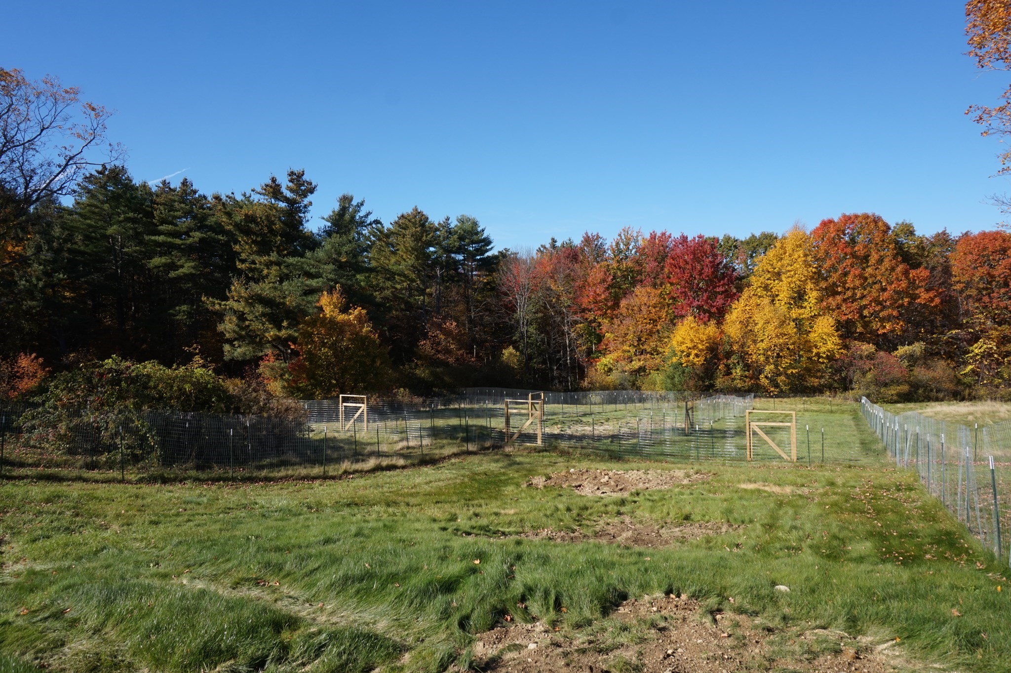 main property photo 6