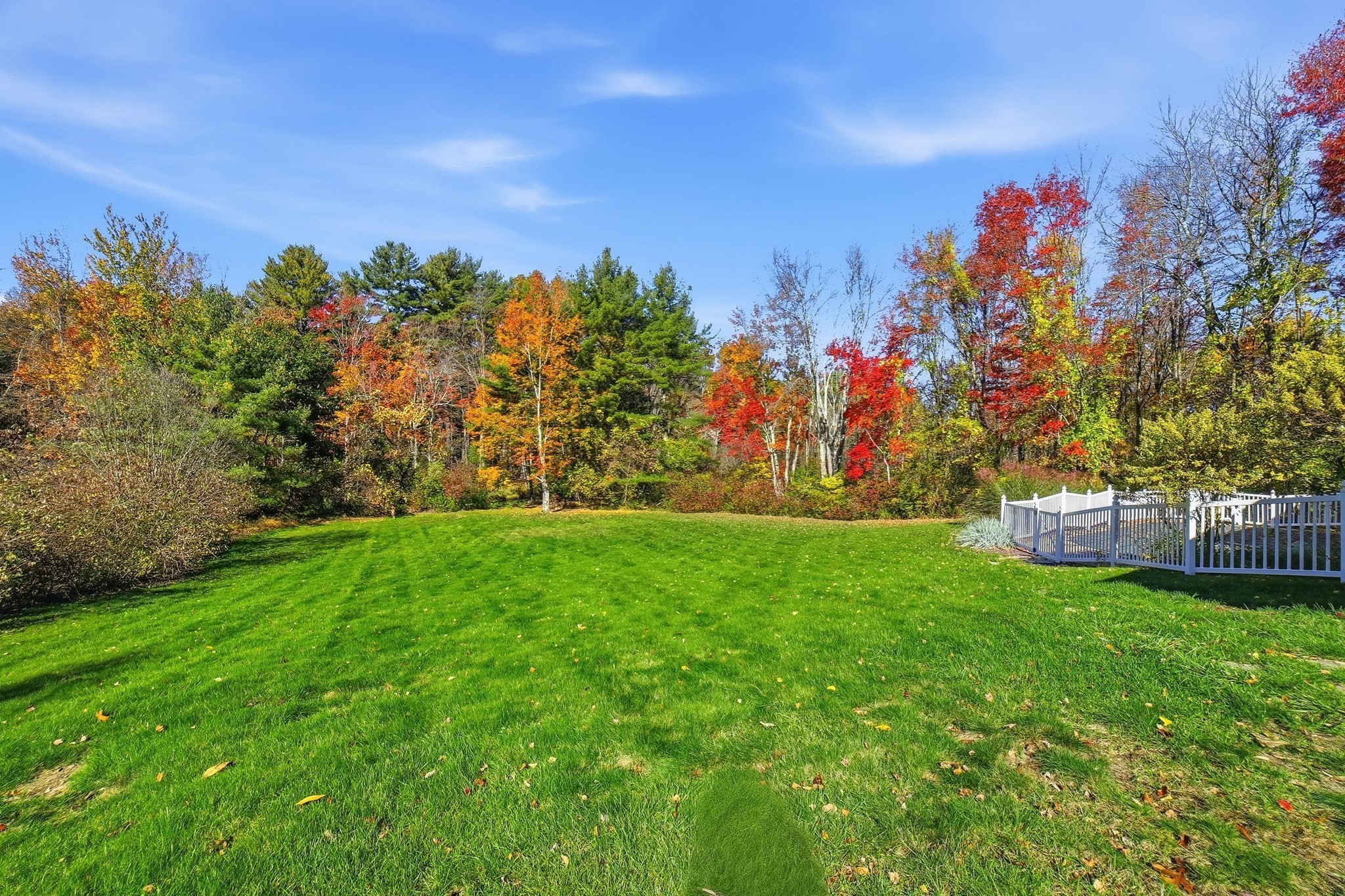main property photo 41