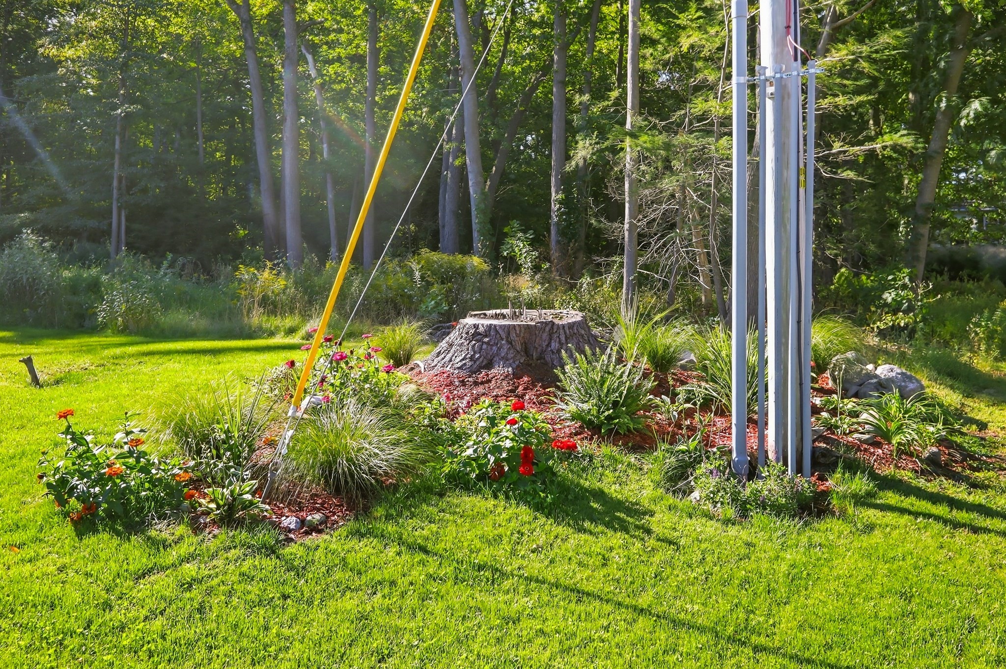 main property photo 33