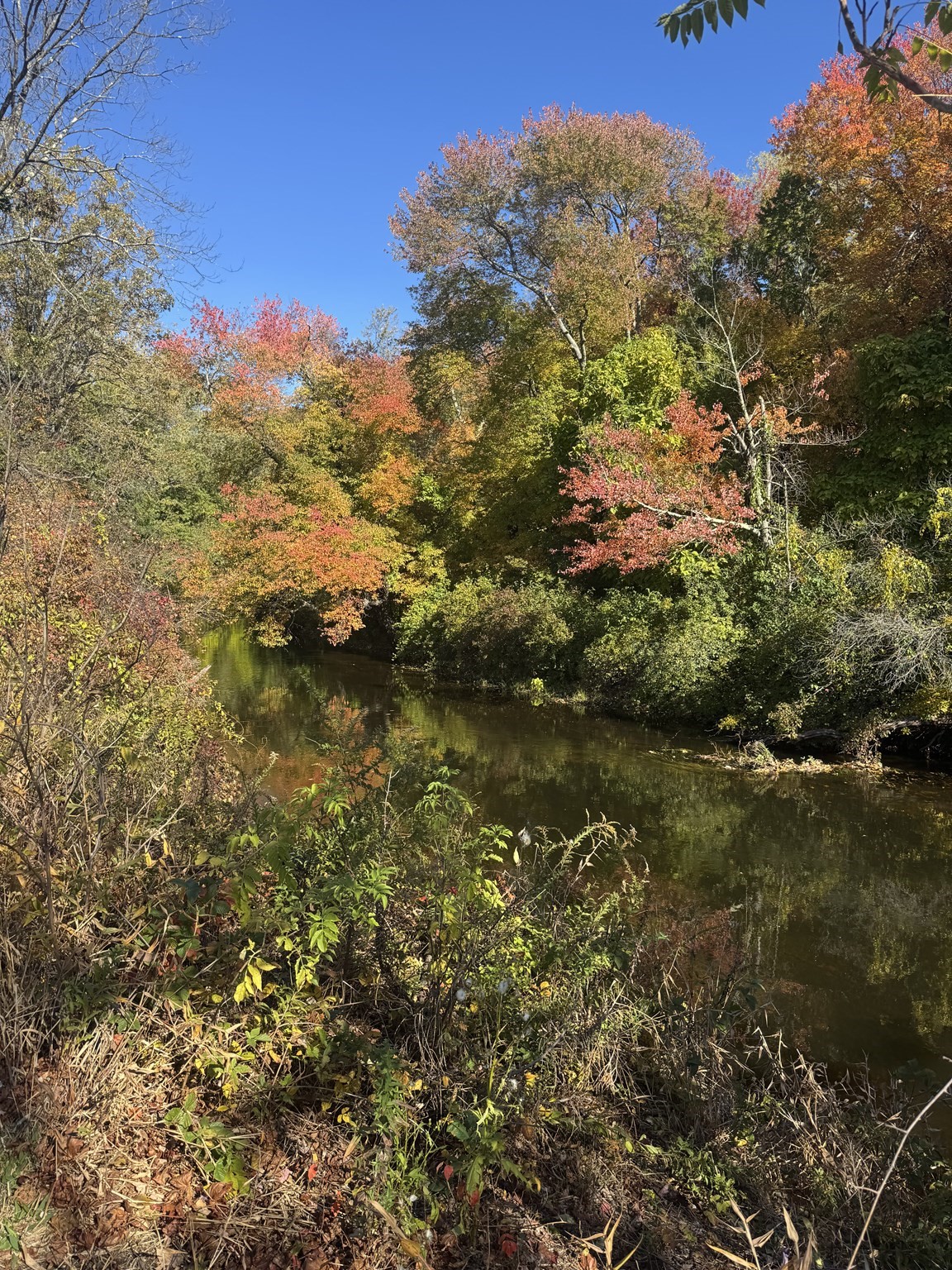 main property photo 19