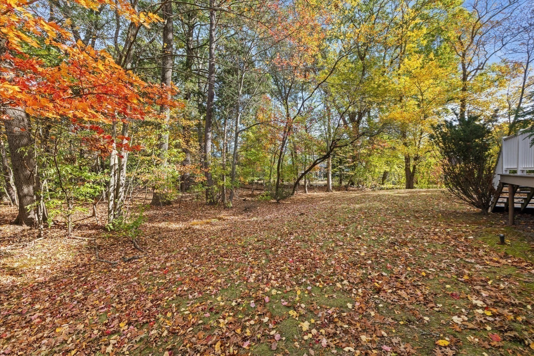main property photo 24