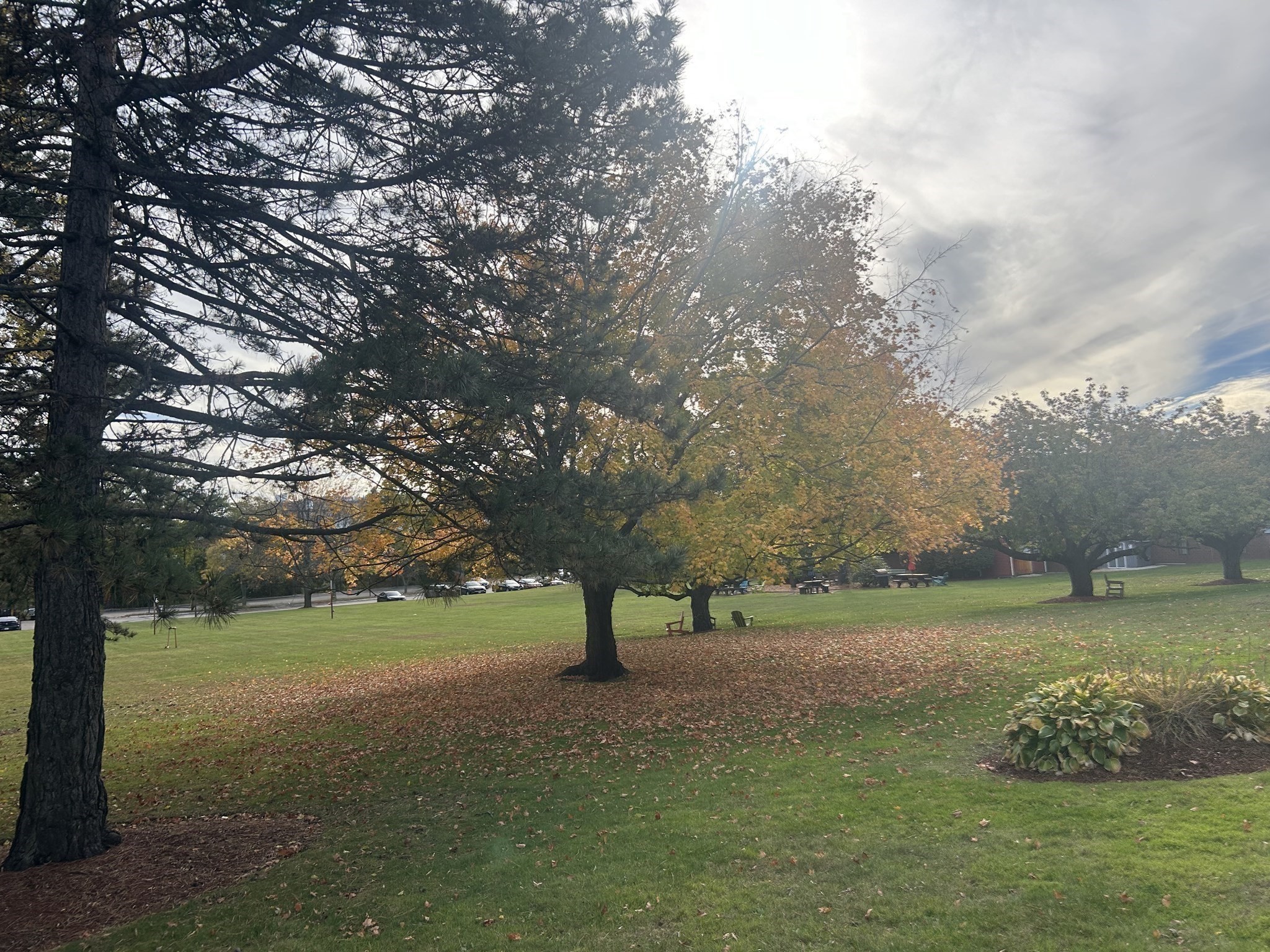 main property photo 30