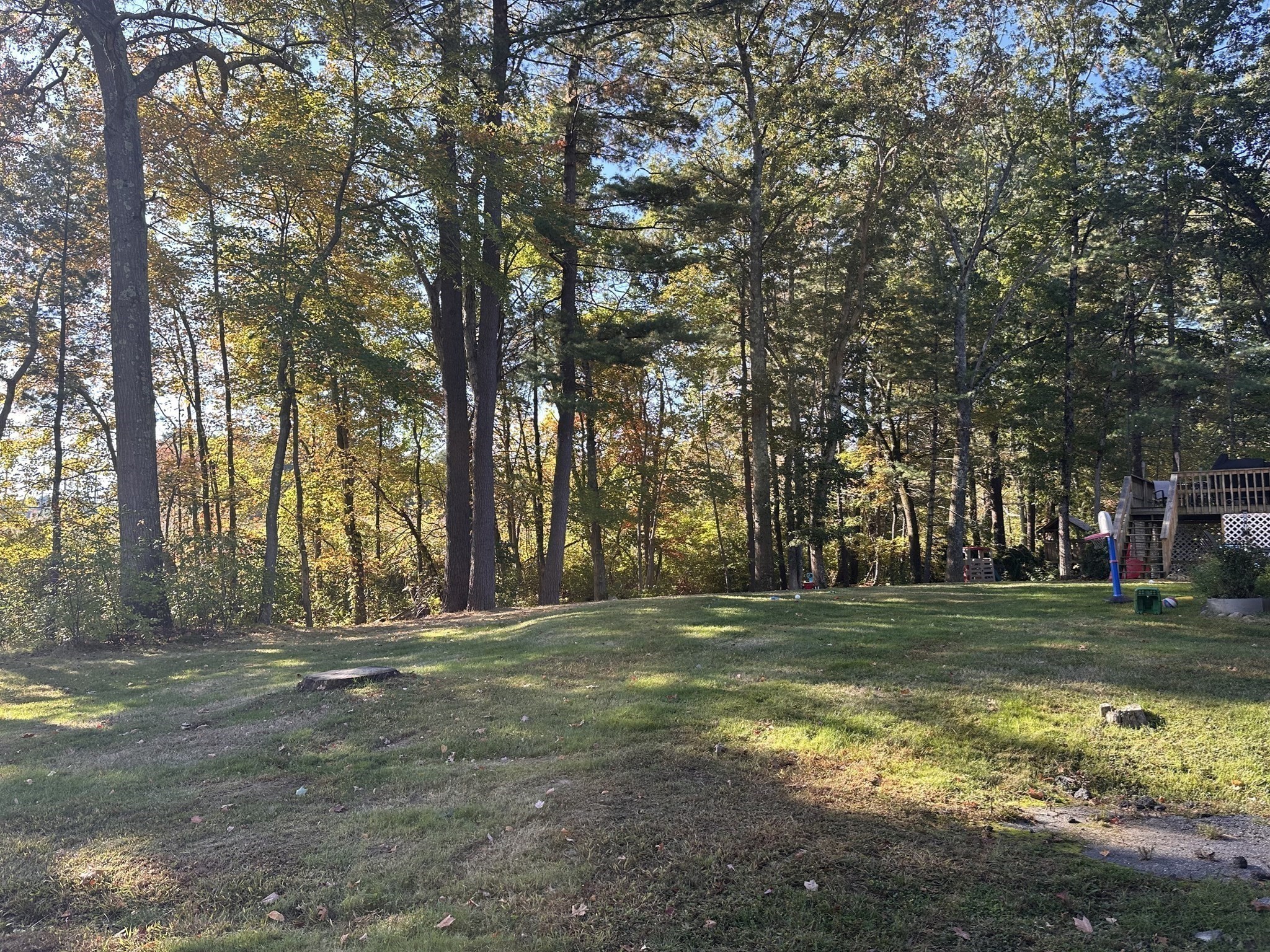 main property photo 9