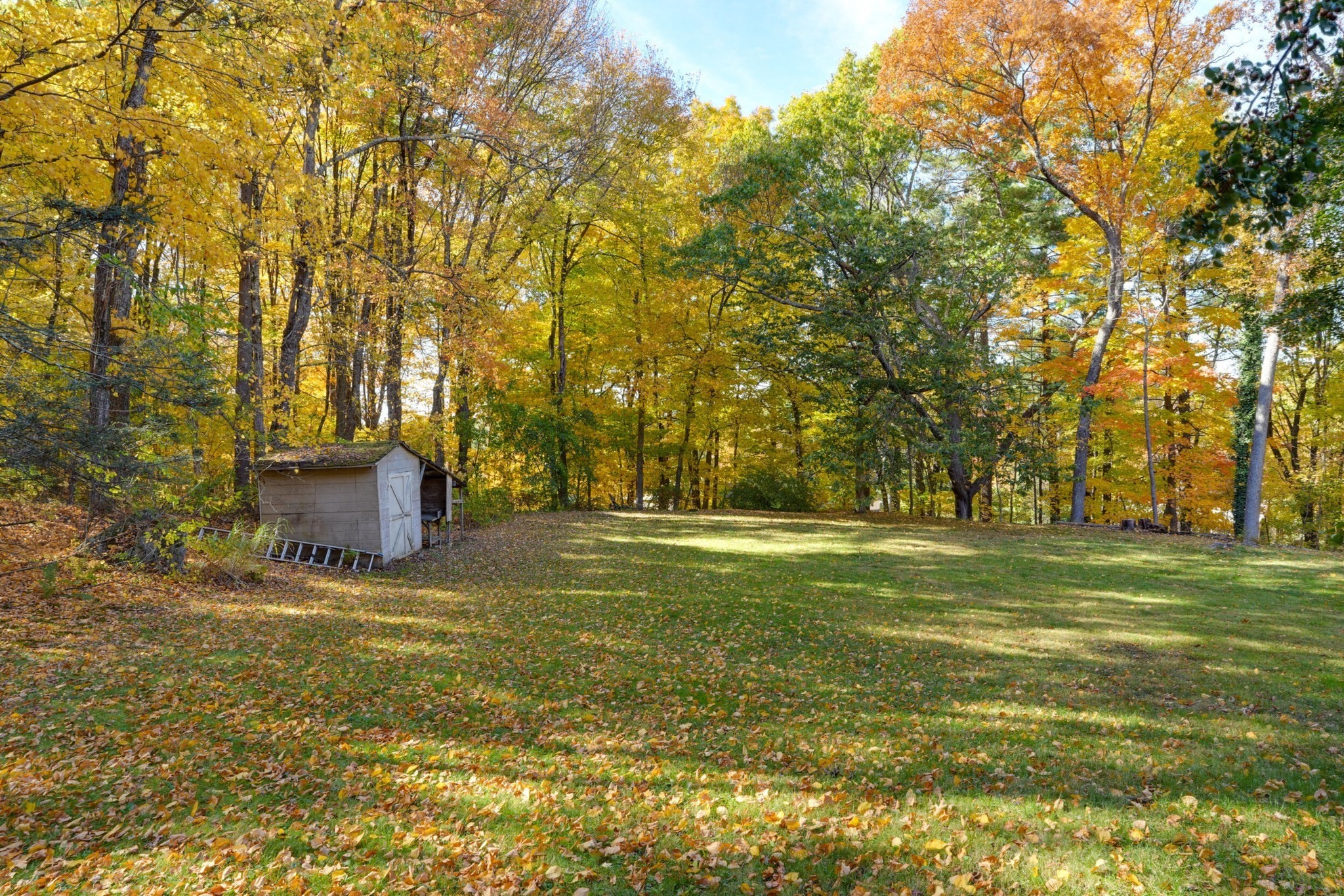 main property photo 28