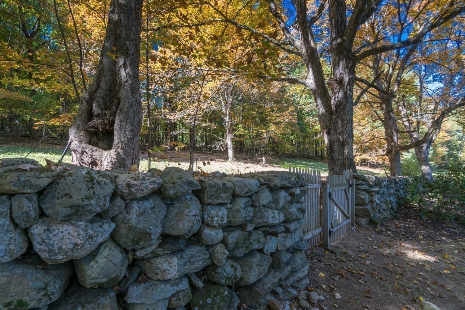 main property photo 36