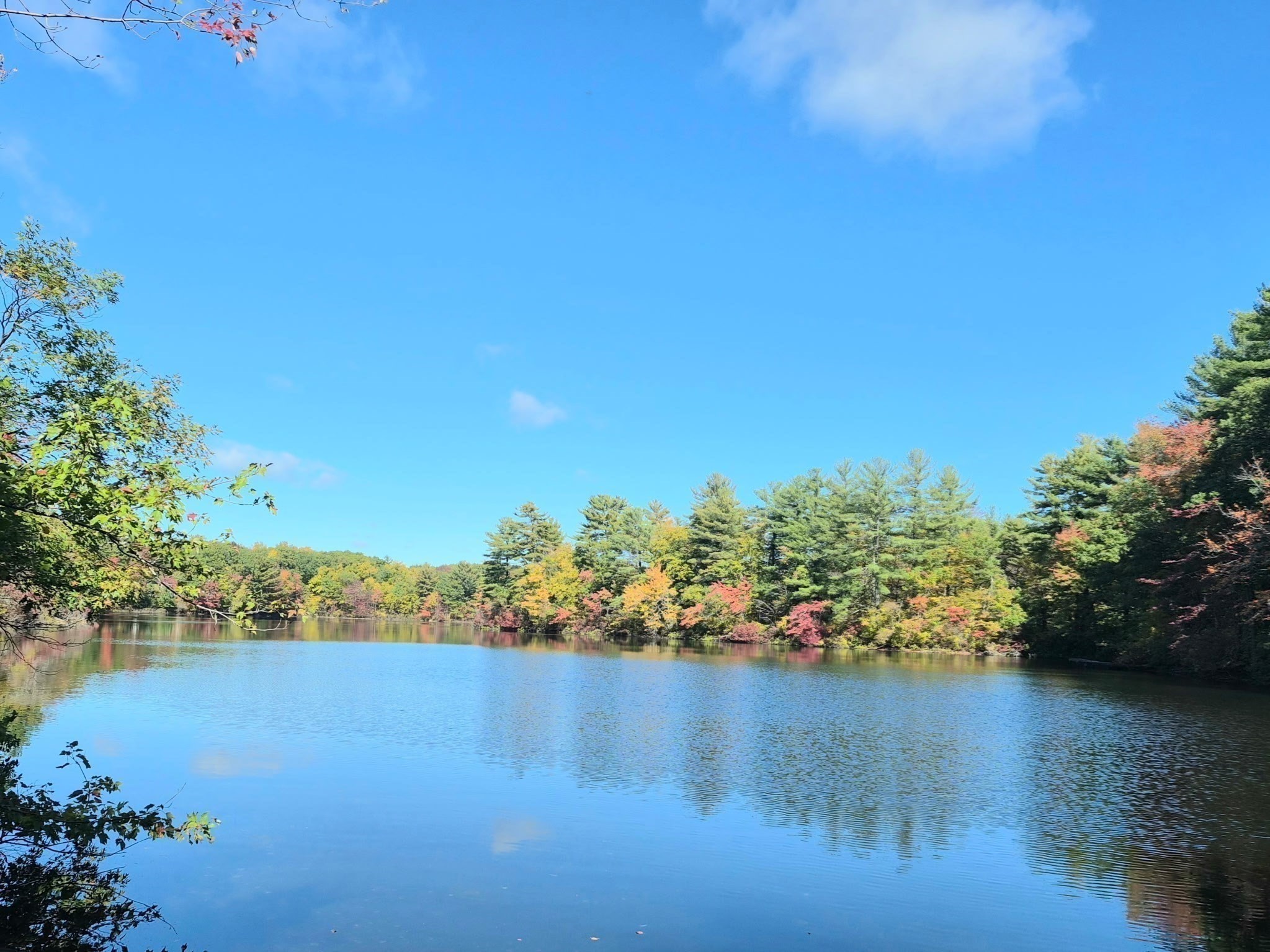 main property photo 35