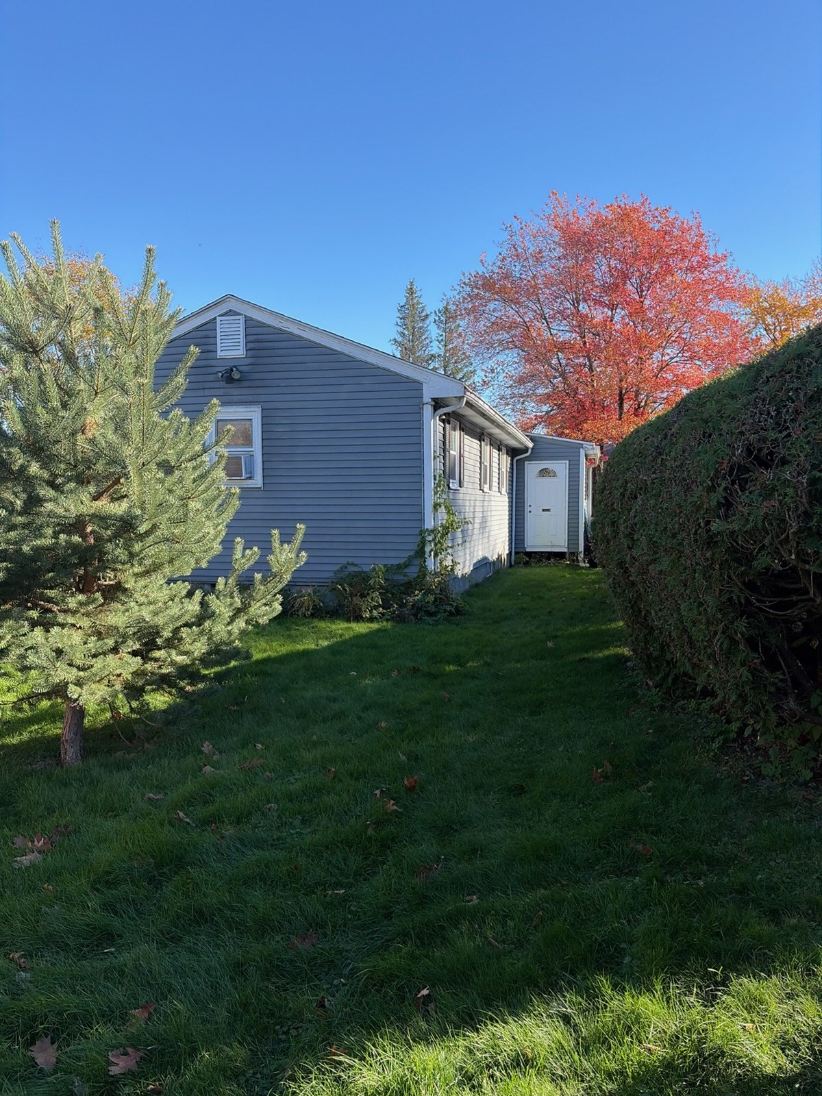main property photo 14