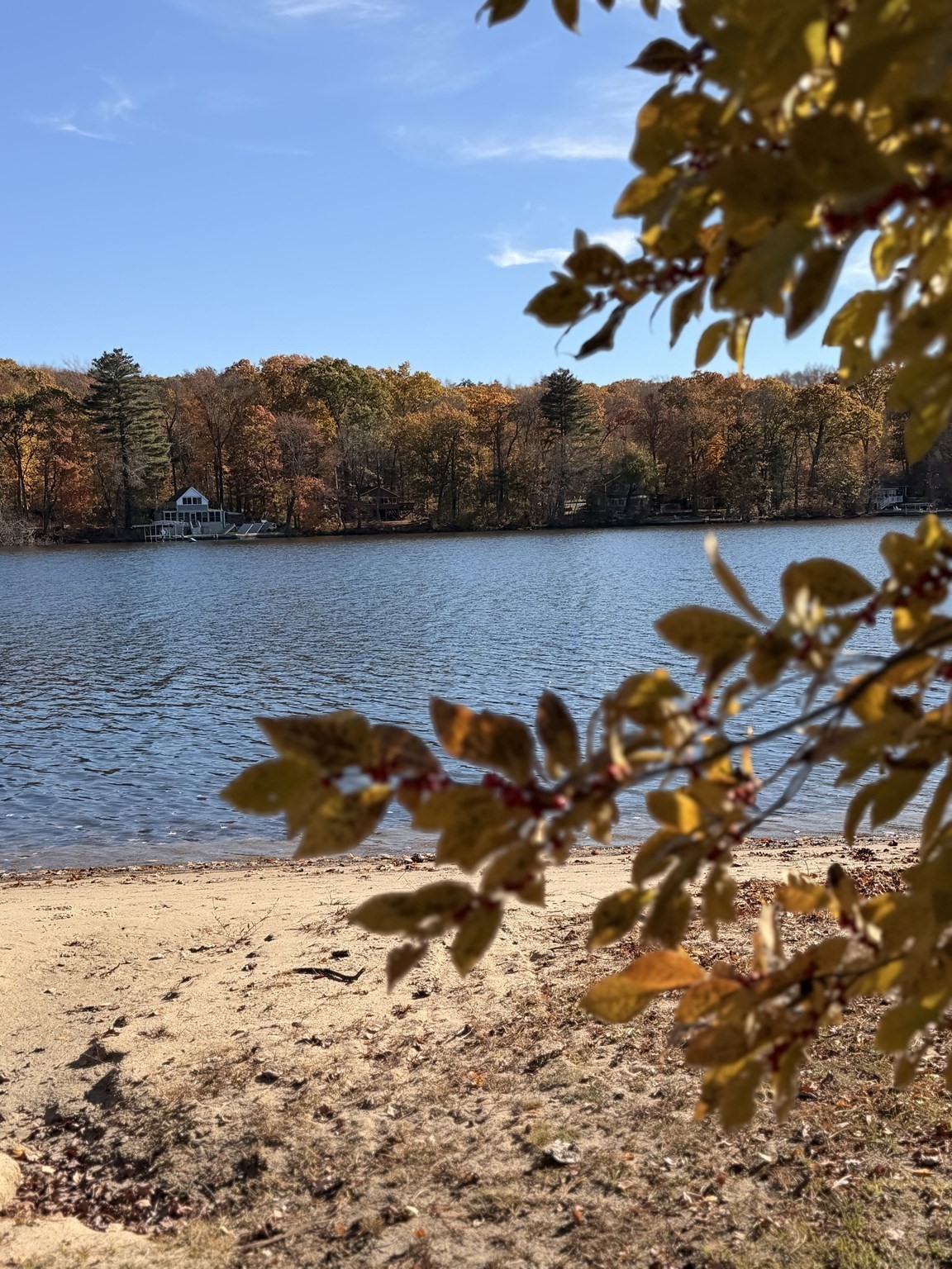 main property photo 32