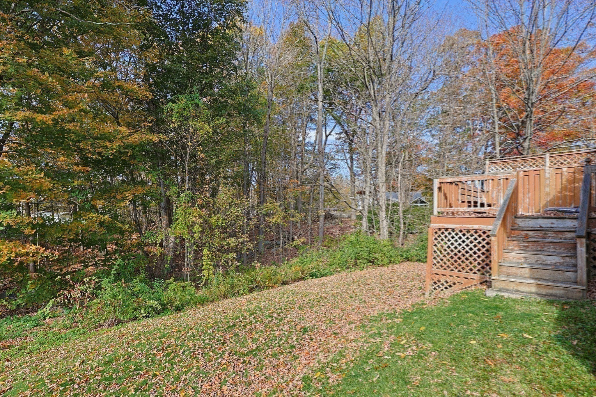 main property photo 40