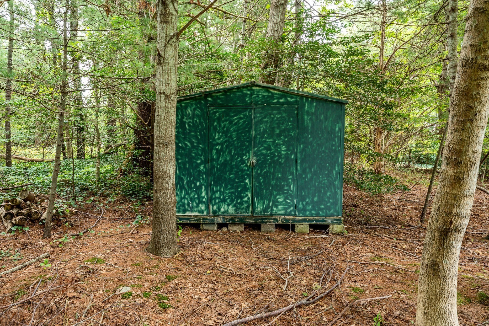 main property photo 28