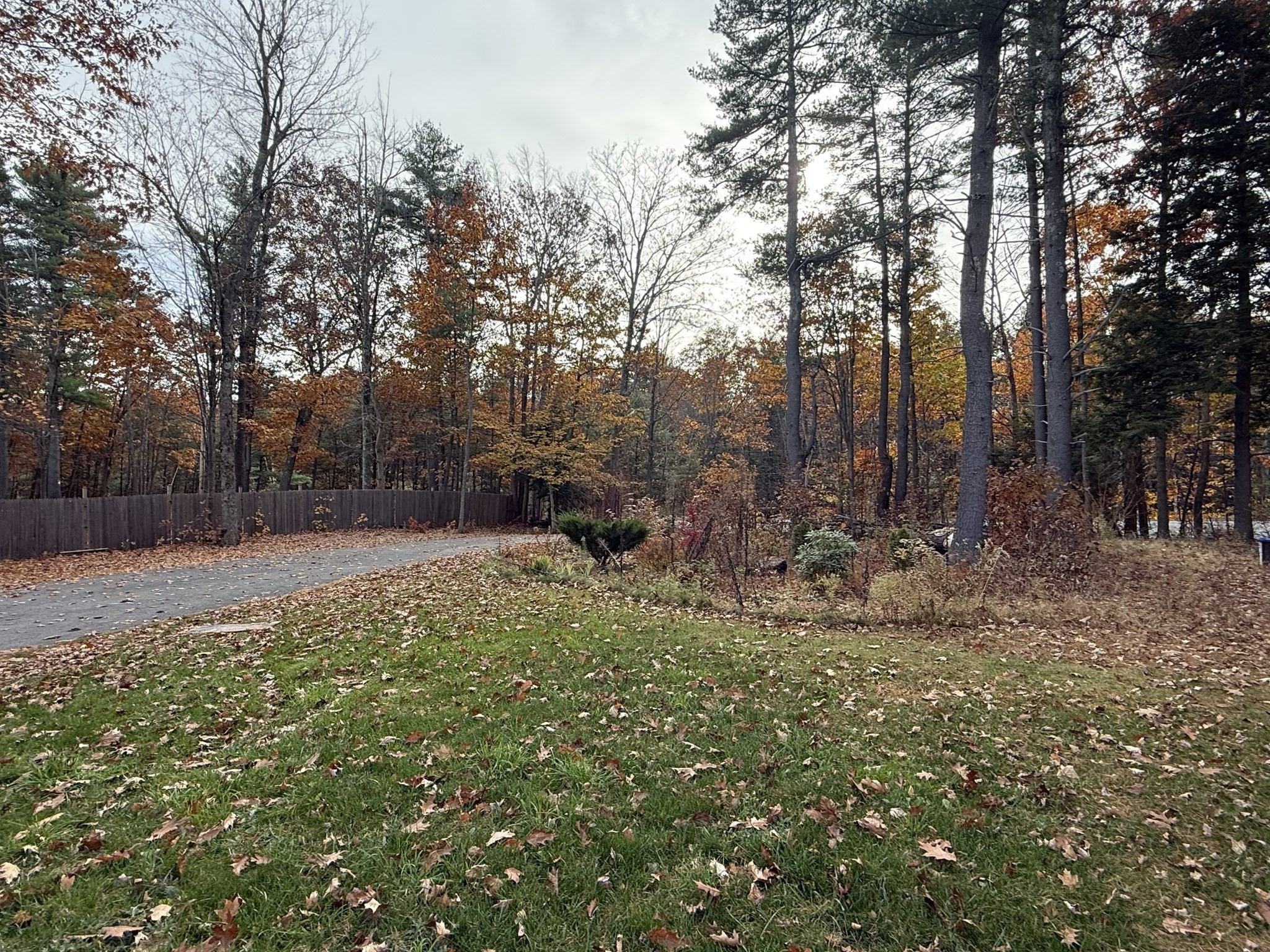 main property photo 27