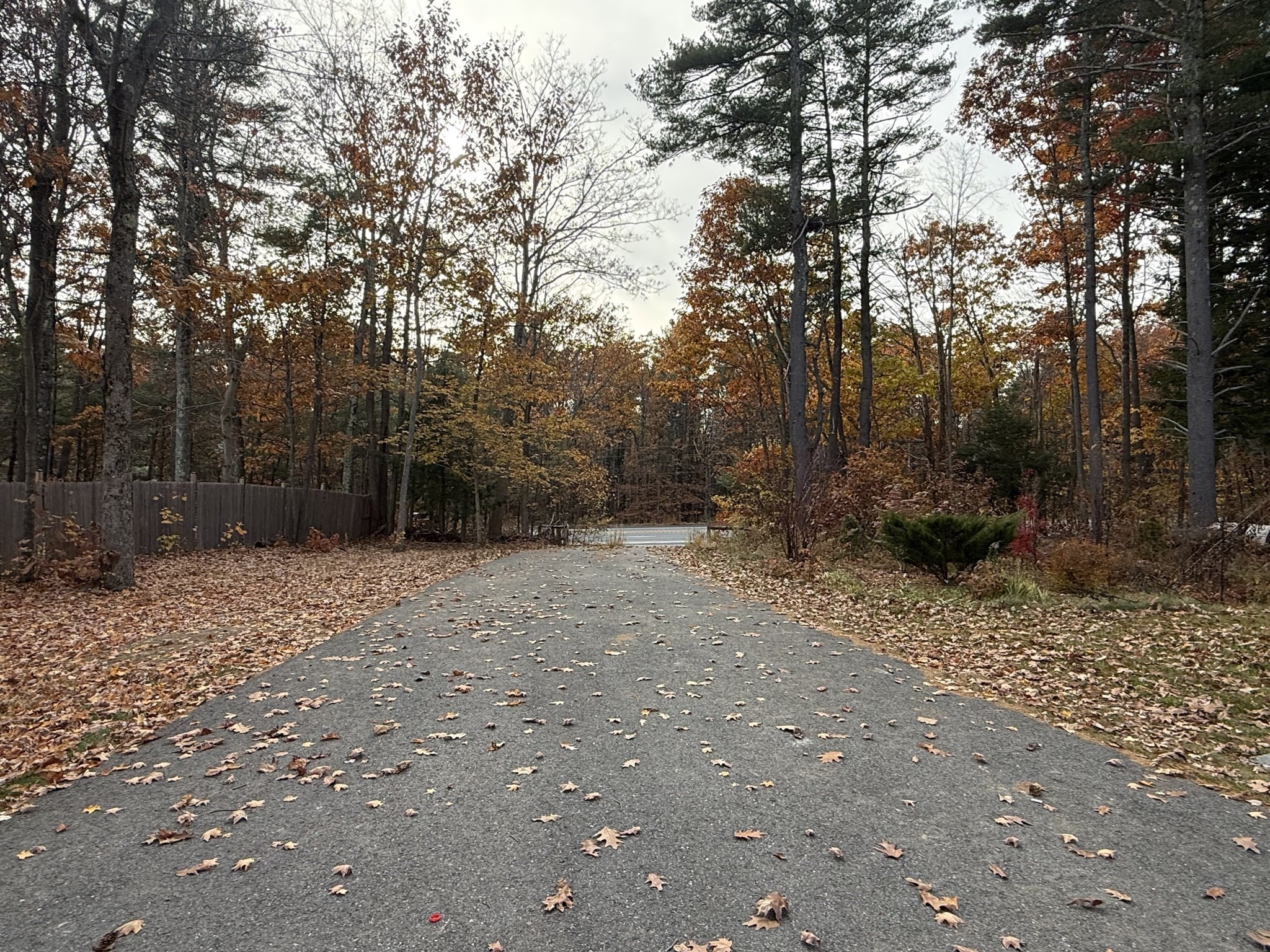 main property photo 28