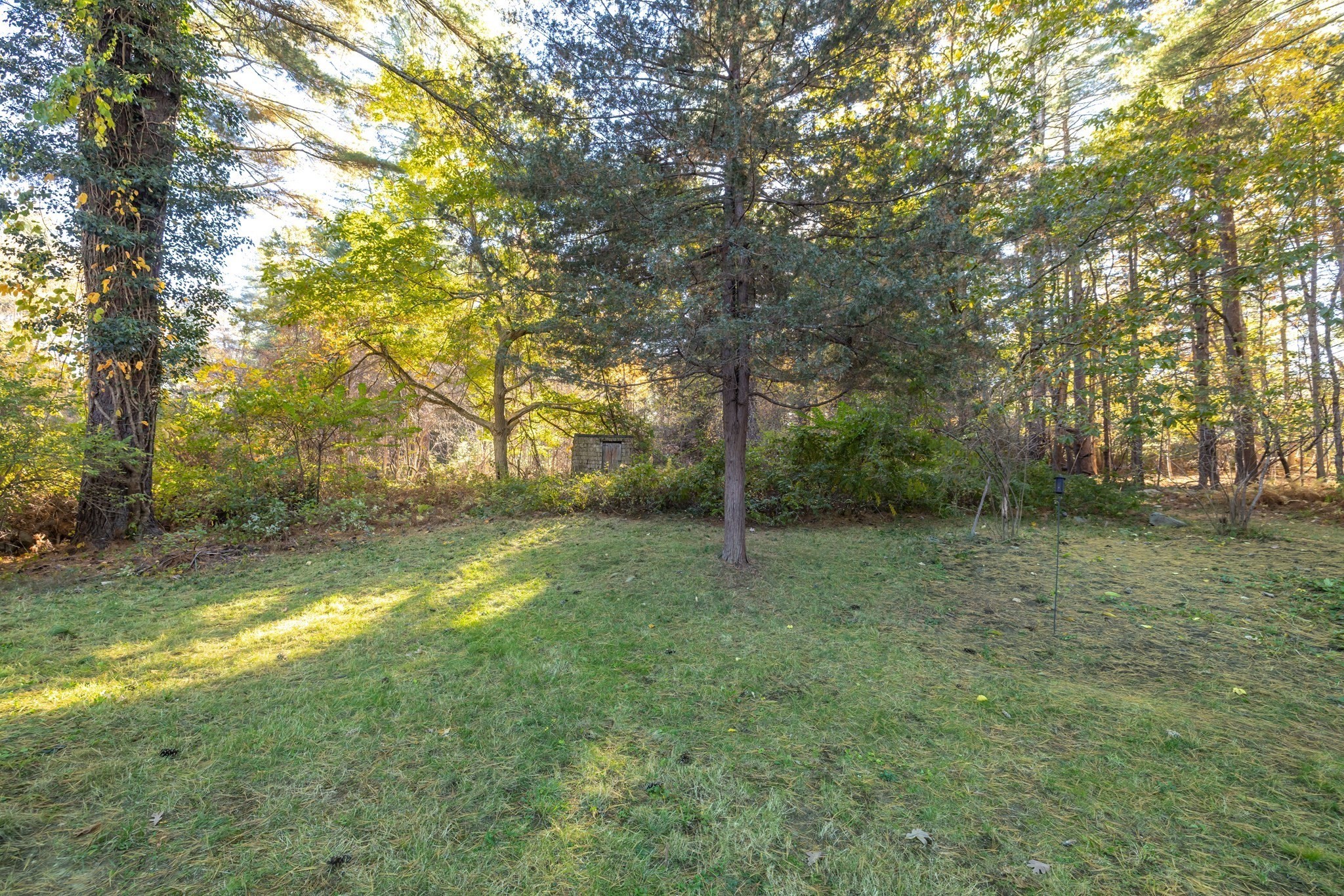 main property photo 35