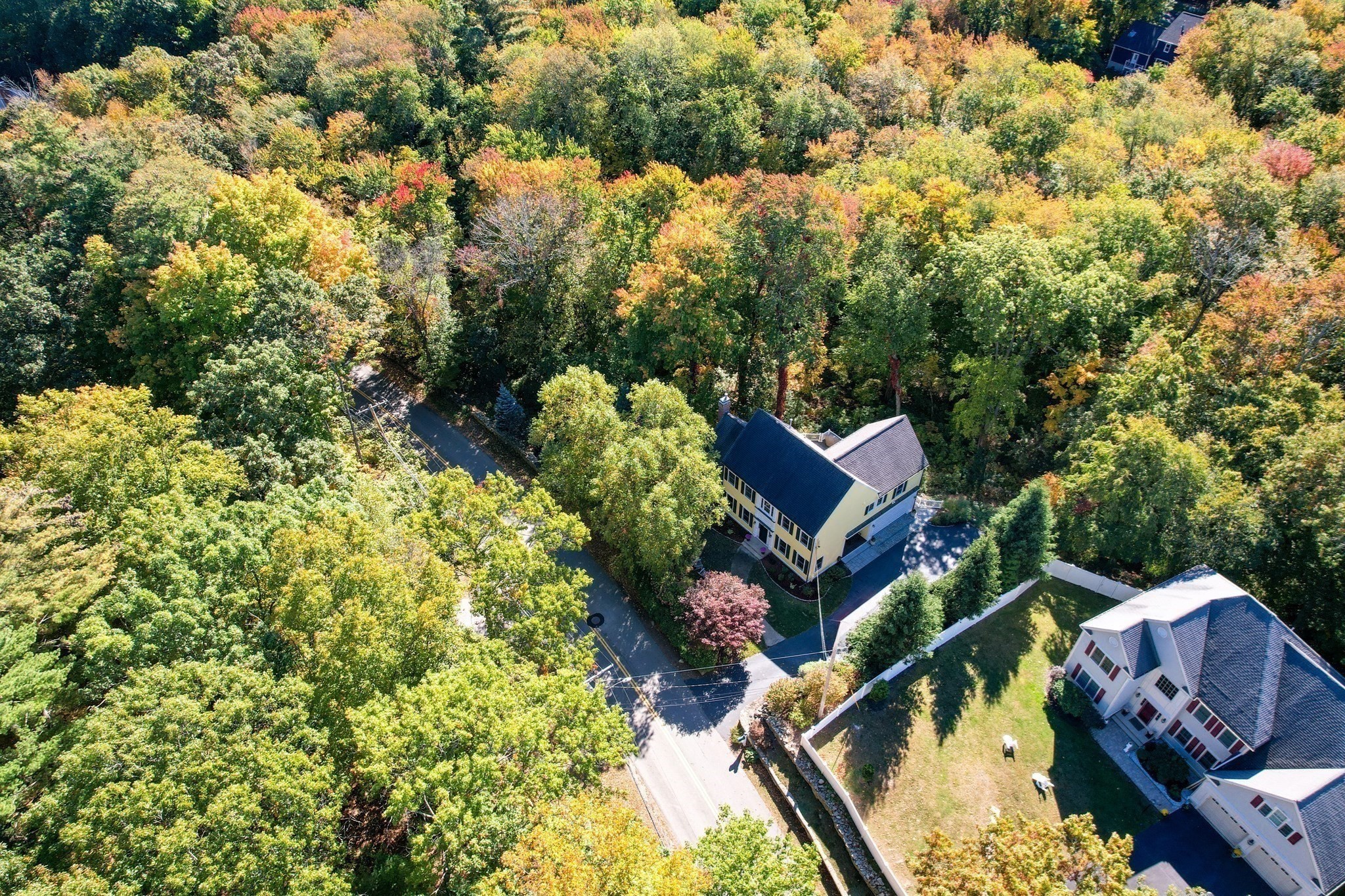 main property photo 33