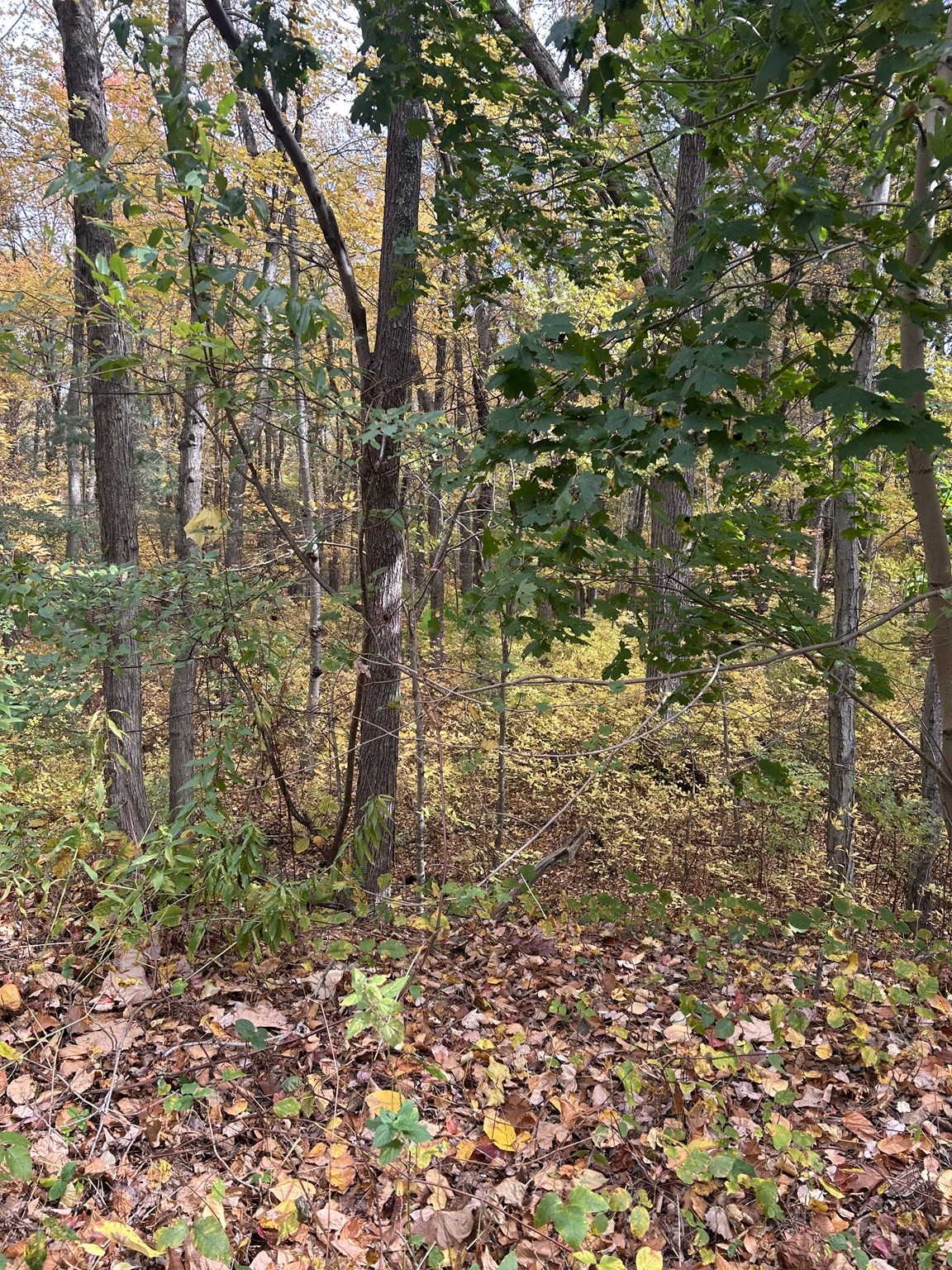 main property photo 10