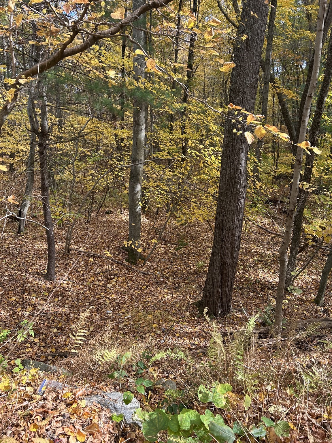 main property photo 11