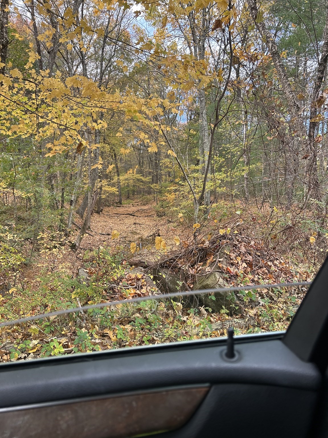 main property photo 12