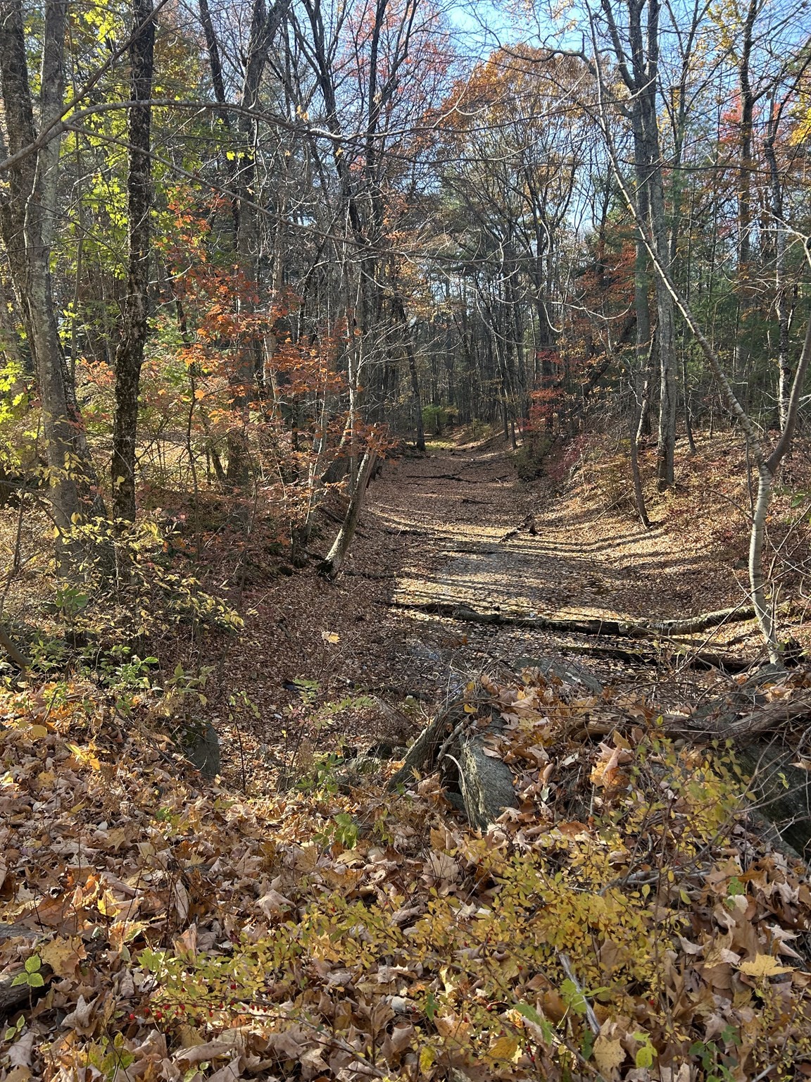 main property photo 3