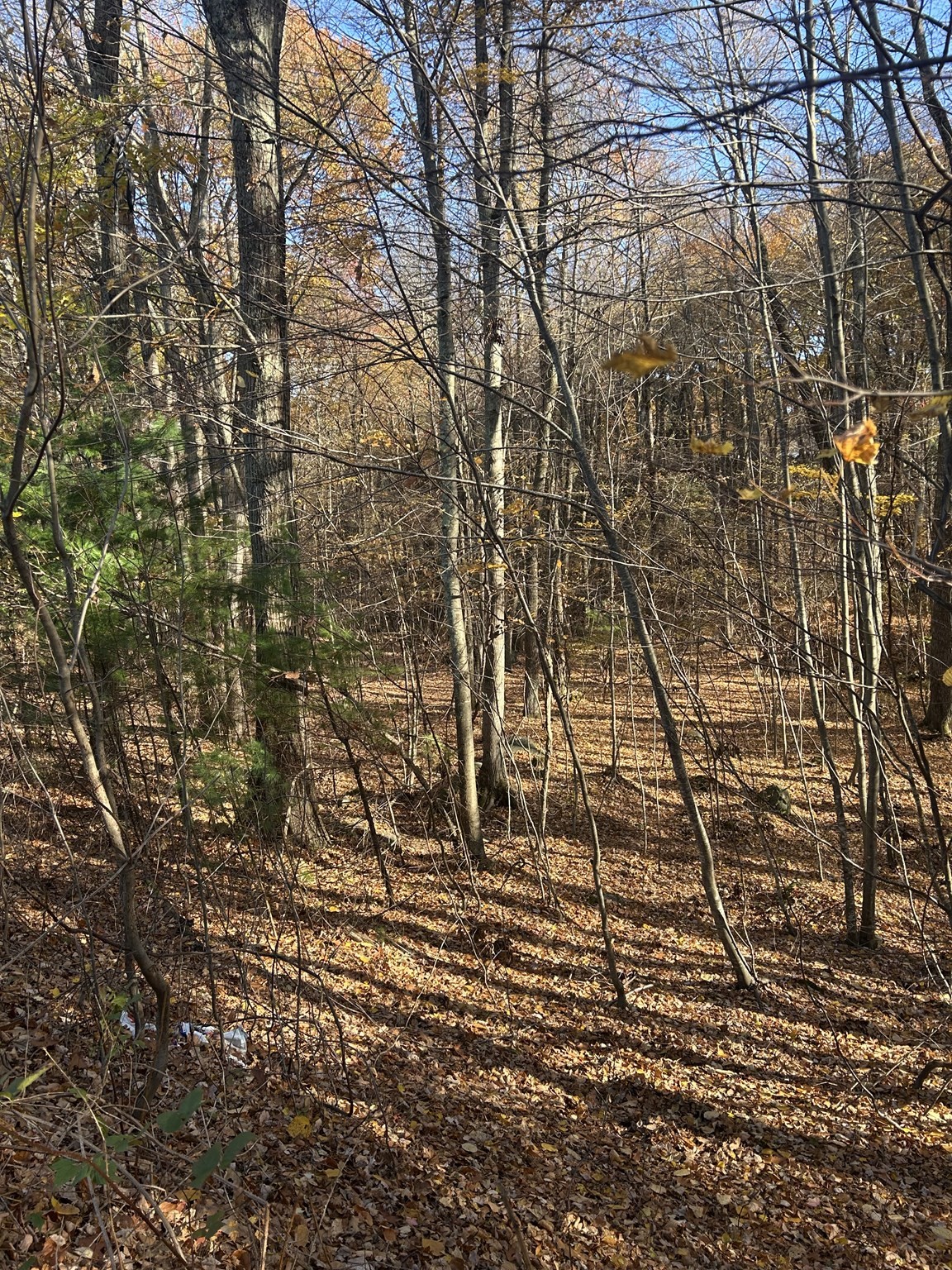 main property photo 6