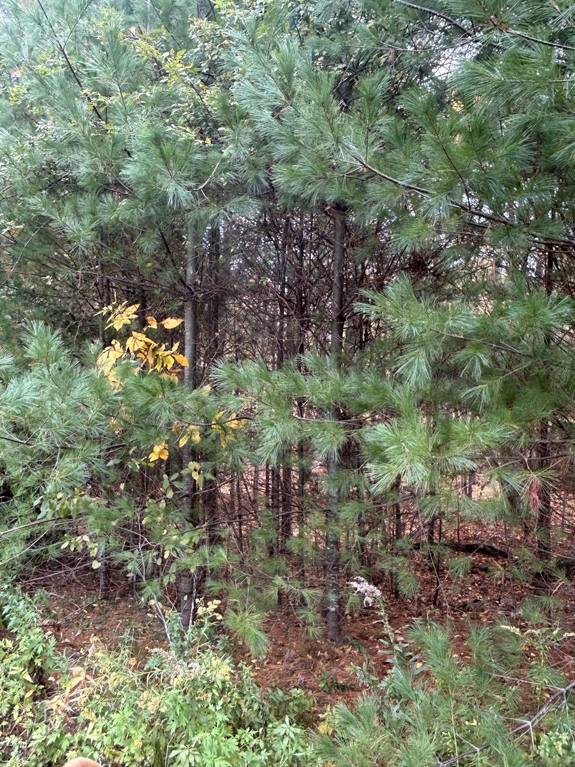 main property photo 7