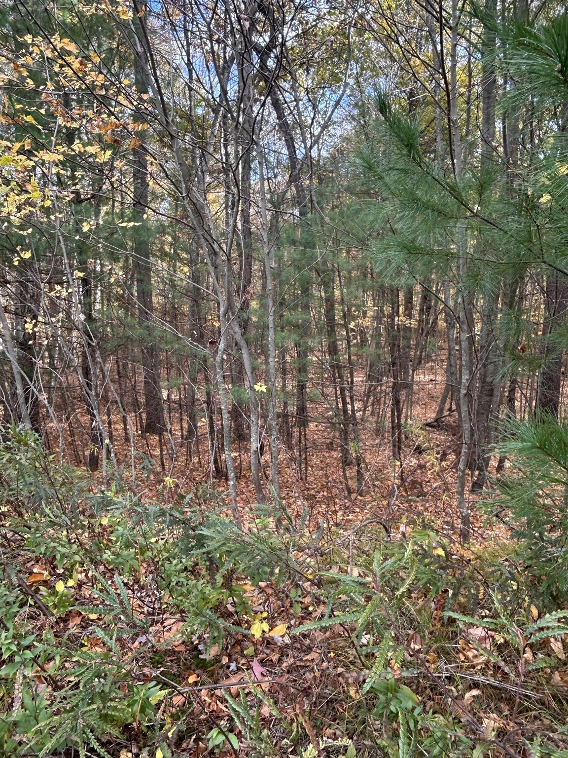 main property photo 8