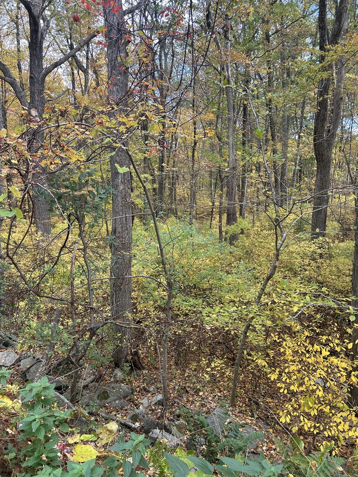 main property photo 9