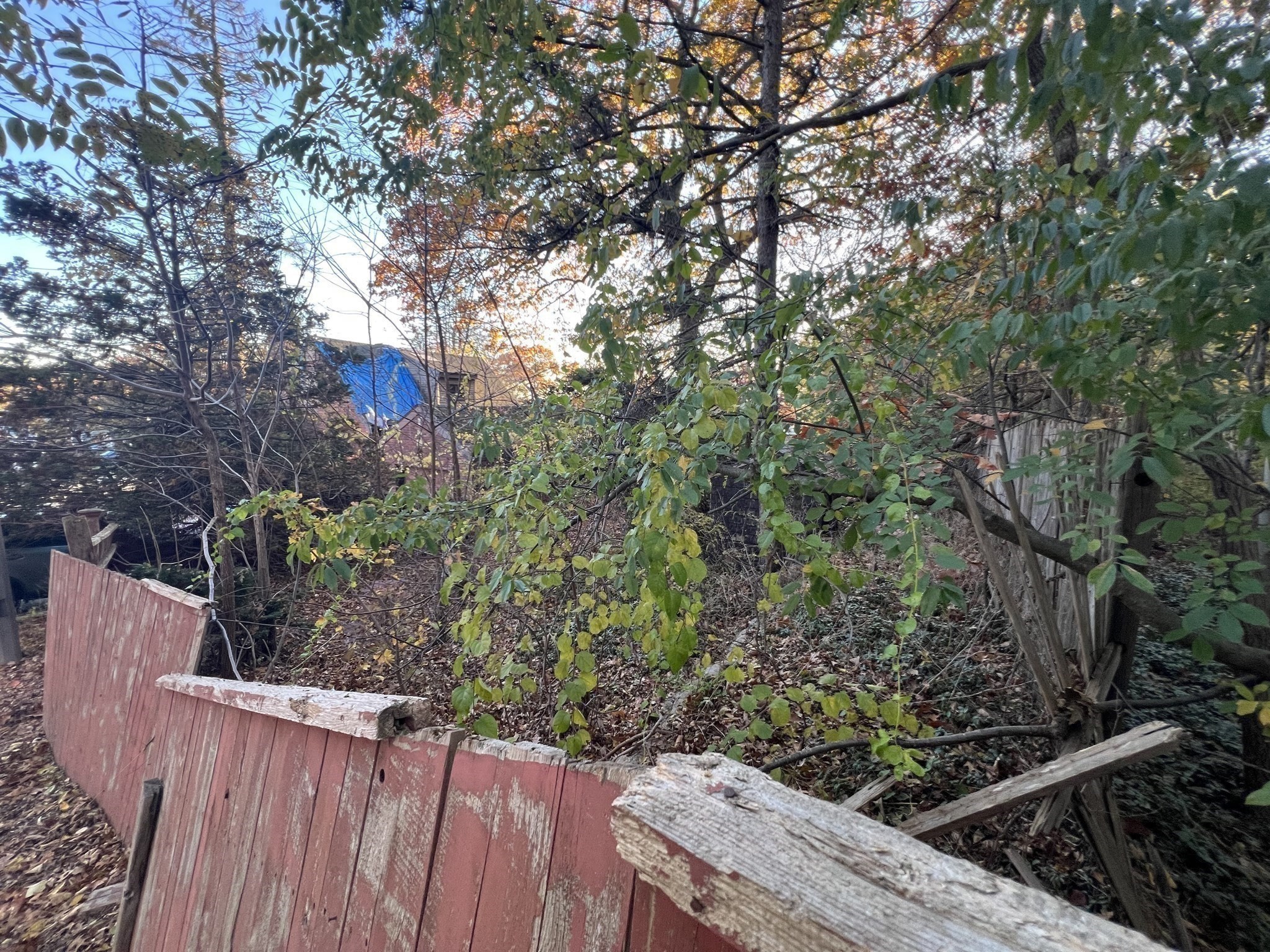 main property photo 11