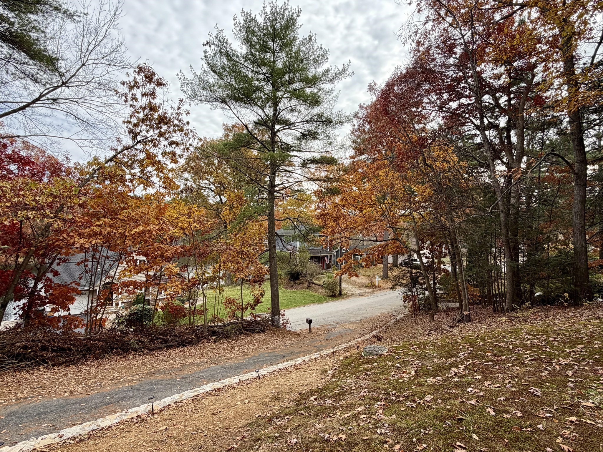 main property photo 33