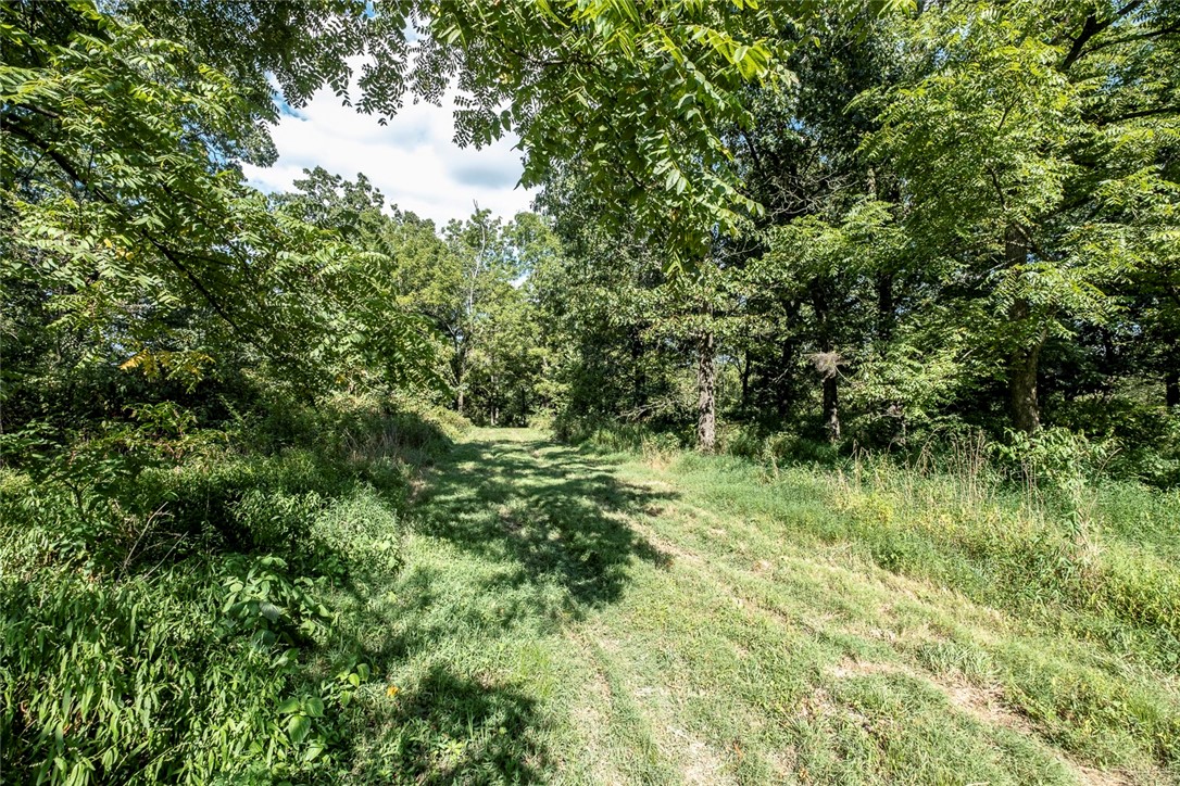 main property photo 13