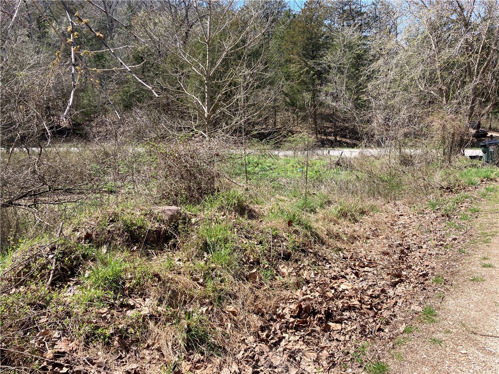 main property photo 11