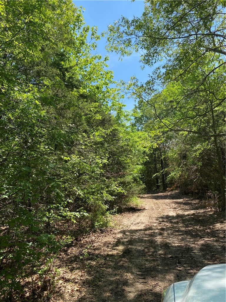 main property photo 10