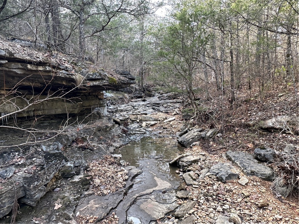 main property photo 35