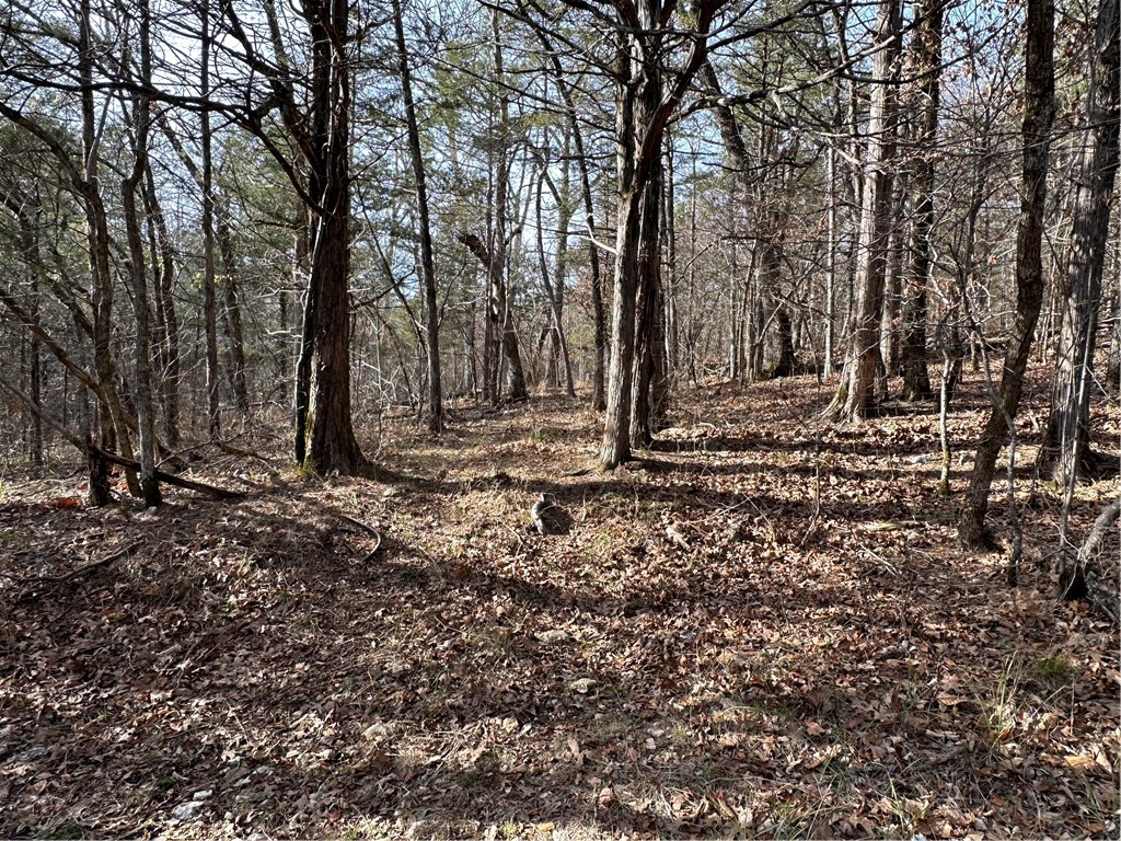 main property photo 36